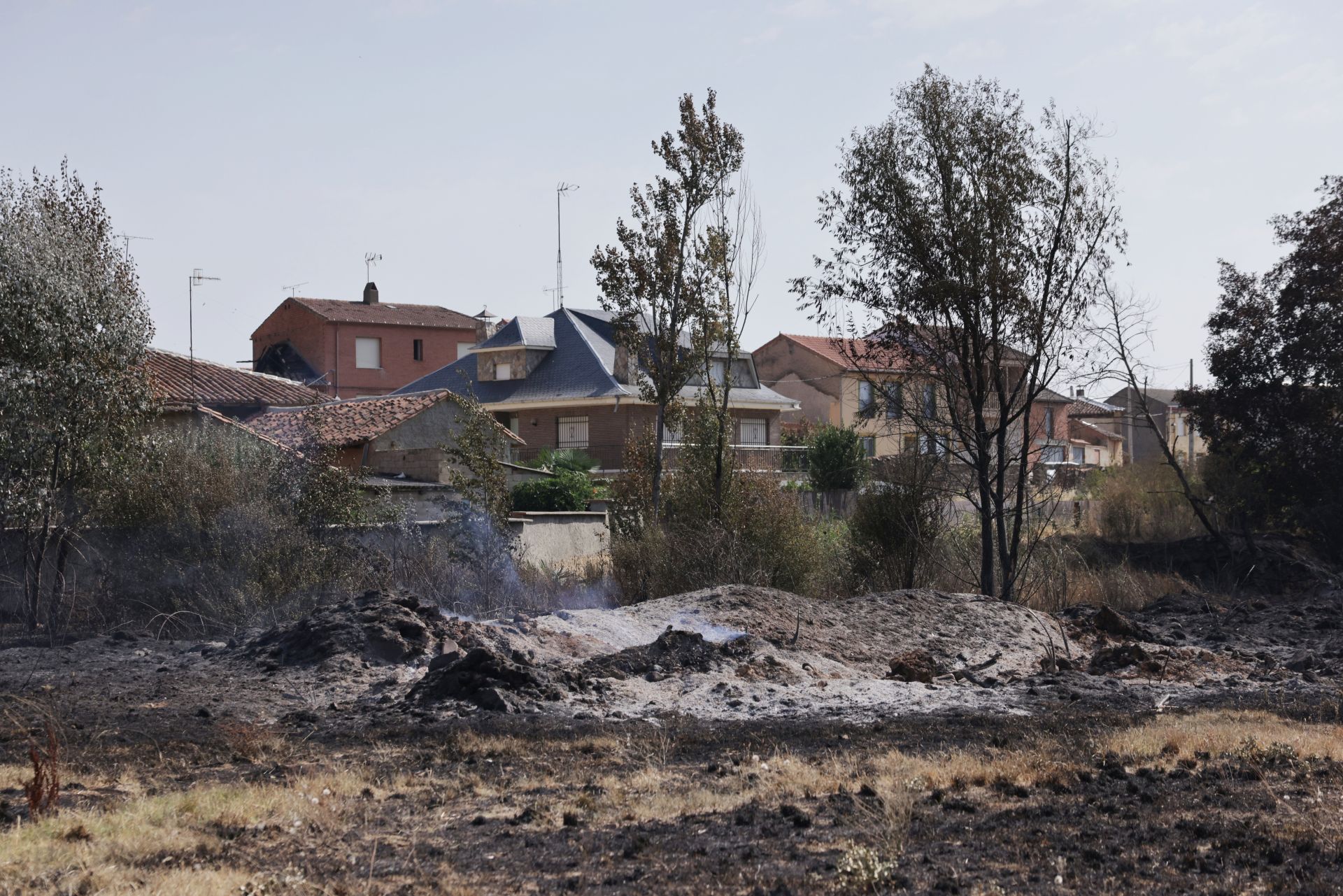 Realojados de Carracedo de Vidriales y Ayoó