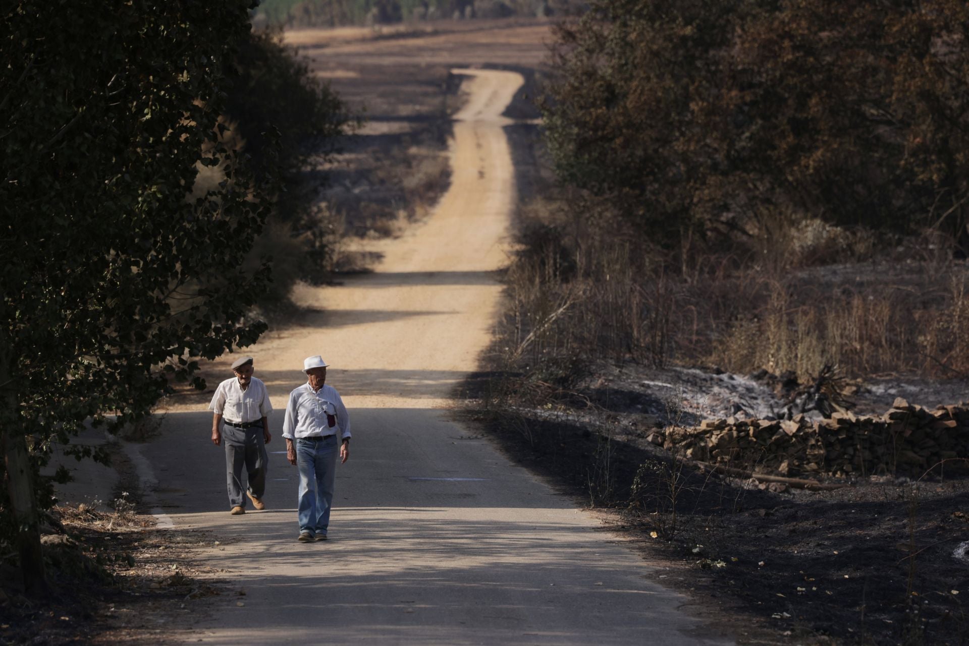 Realojados de Carracedo de Vidriales y Ayoó