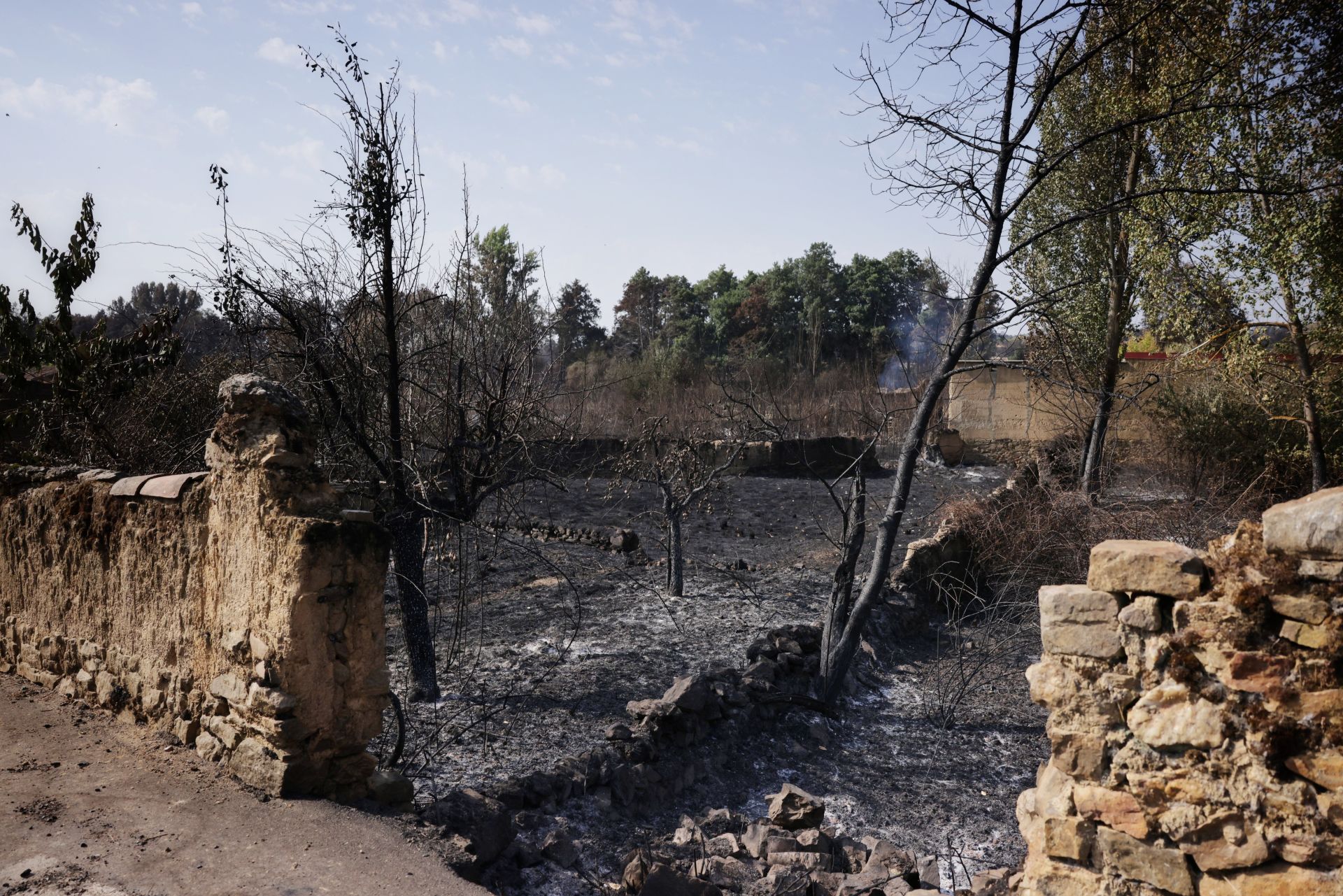 Realojados de Carracedo de Vidriales y Ayoó