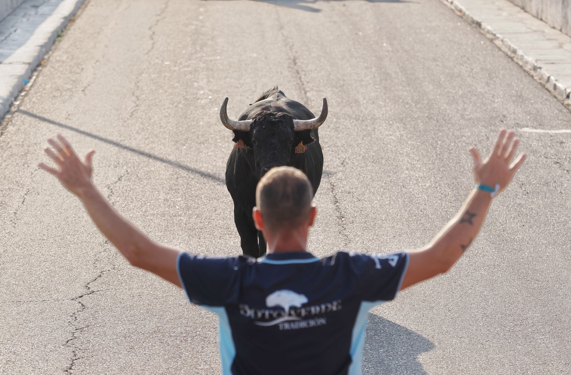 Las imágenes del encierro de Tudela de Duero de este viernes