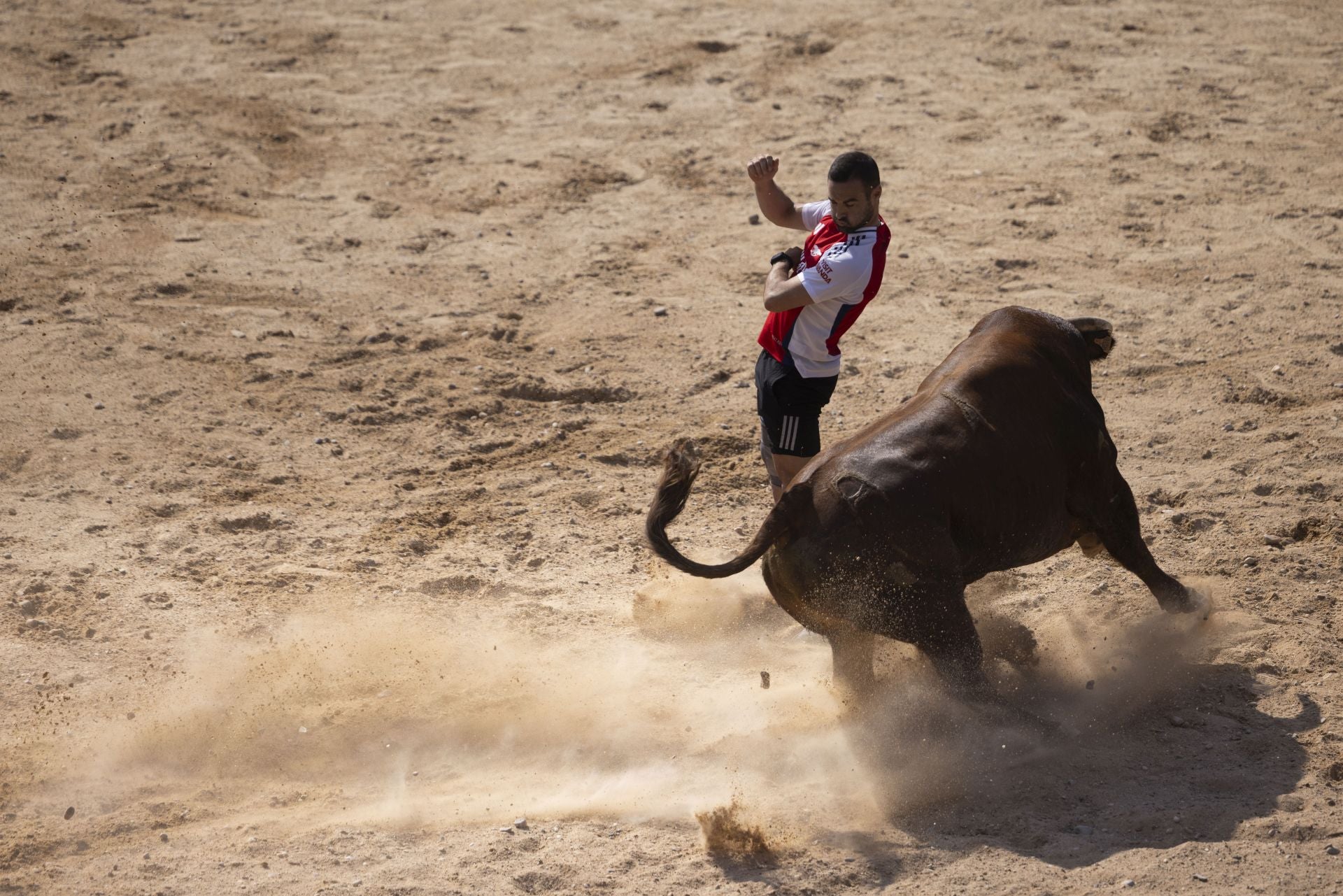Las imágenes del encierro de Peñafiel de este viernes