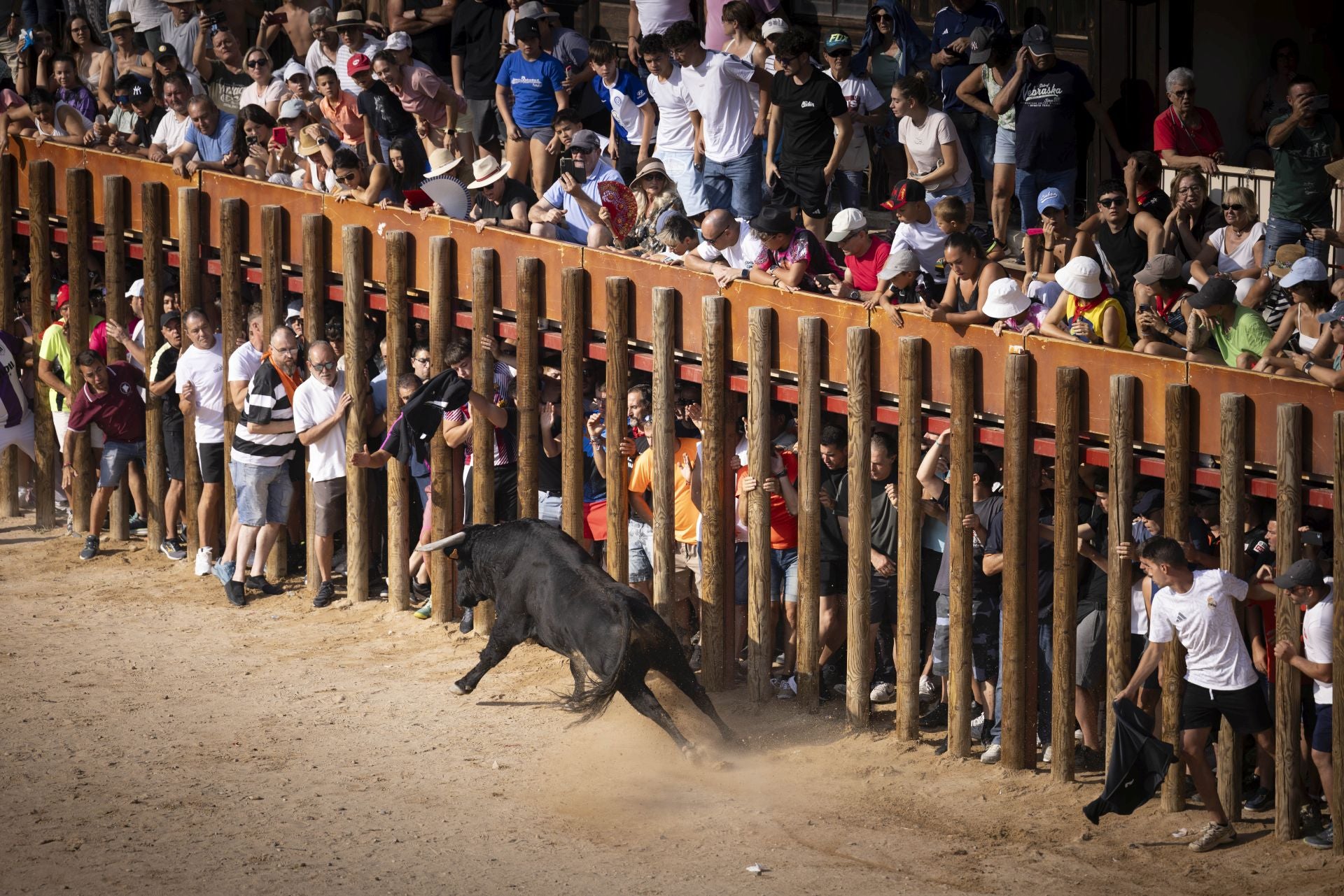 Las imágenes del encierro de Peñafiel de este viernes