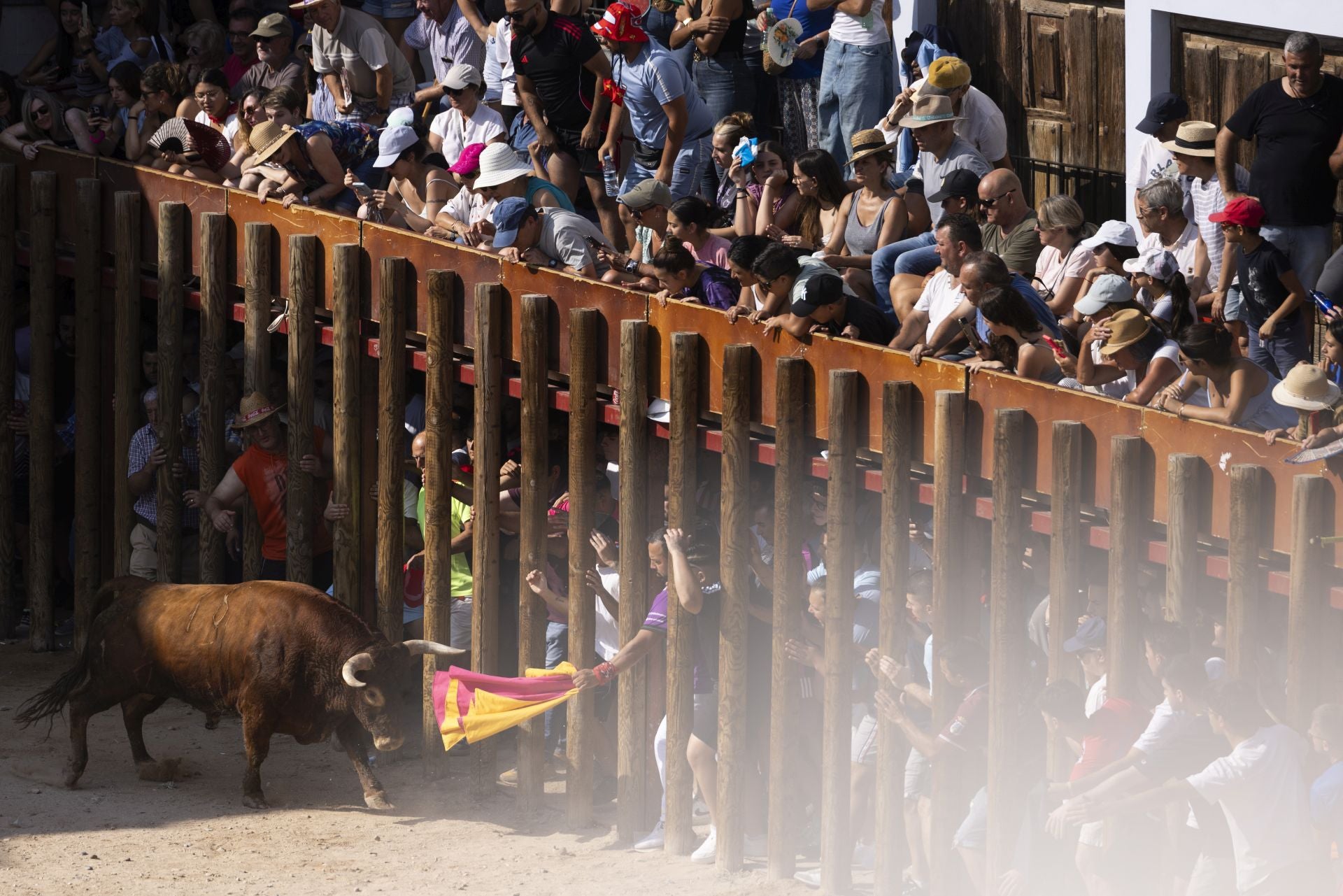 Las imágenes del encierro de Peñafiel de este viernes
