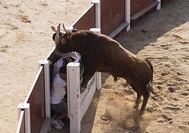 Momento de peligro en uno de los burladeros del ruedo.