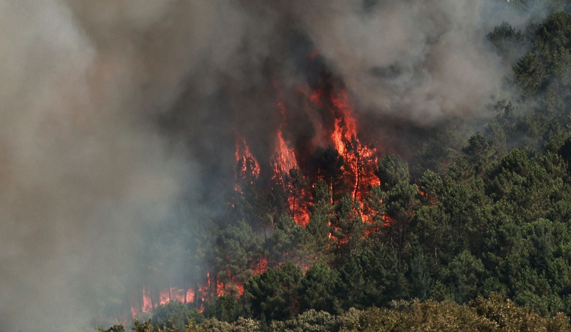 Incendio de nivel 2 en la localidad salmatina de El Payo