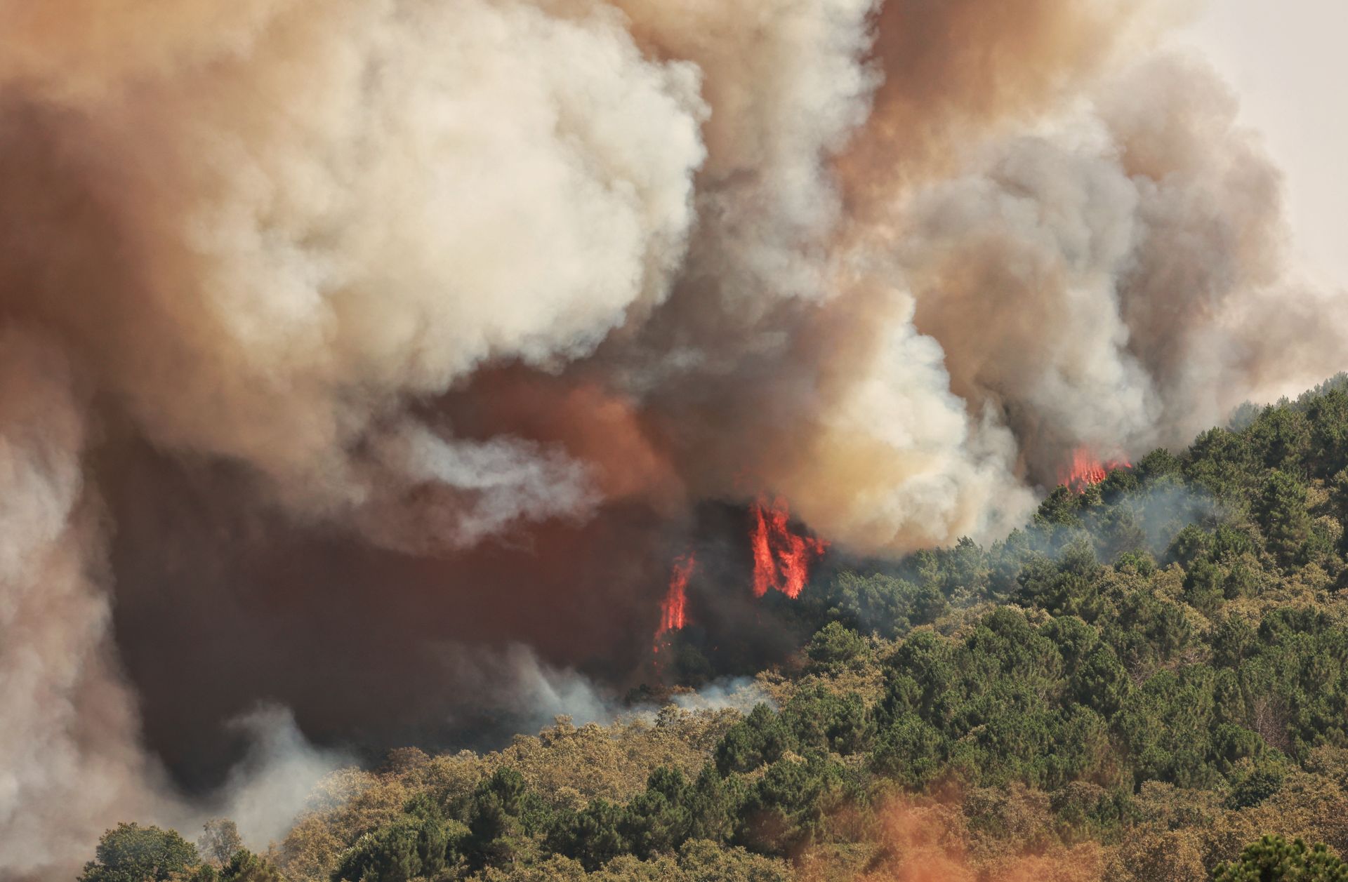 Incendio de nivel 2 en la localidad salmatina de El Payo