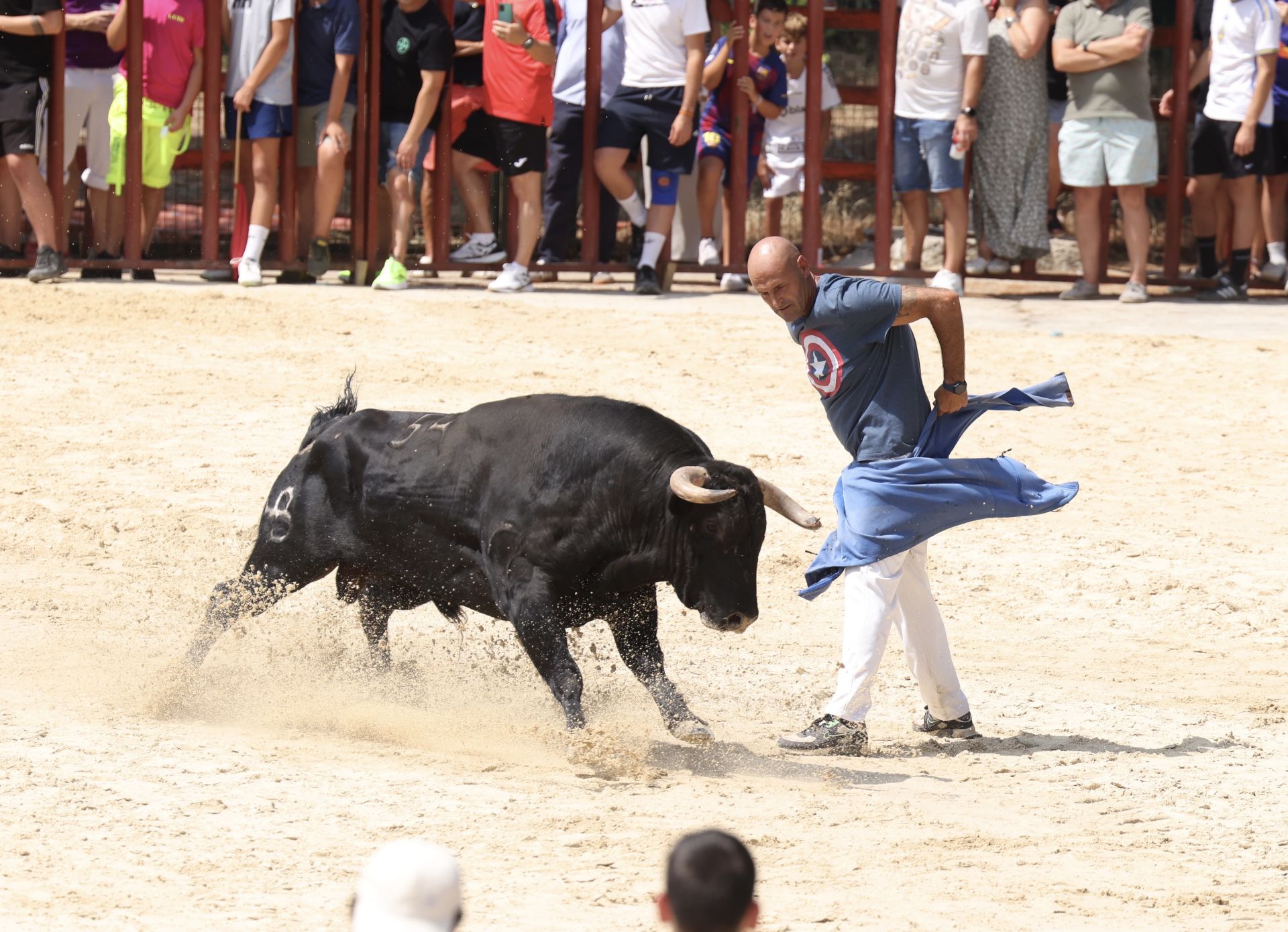 Encierro del viernes en Viana de Cega
