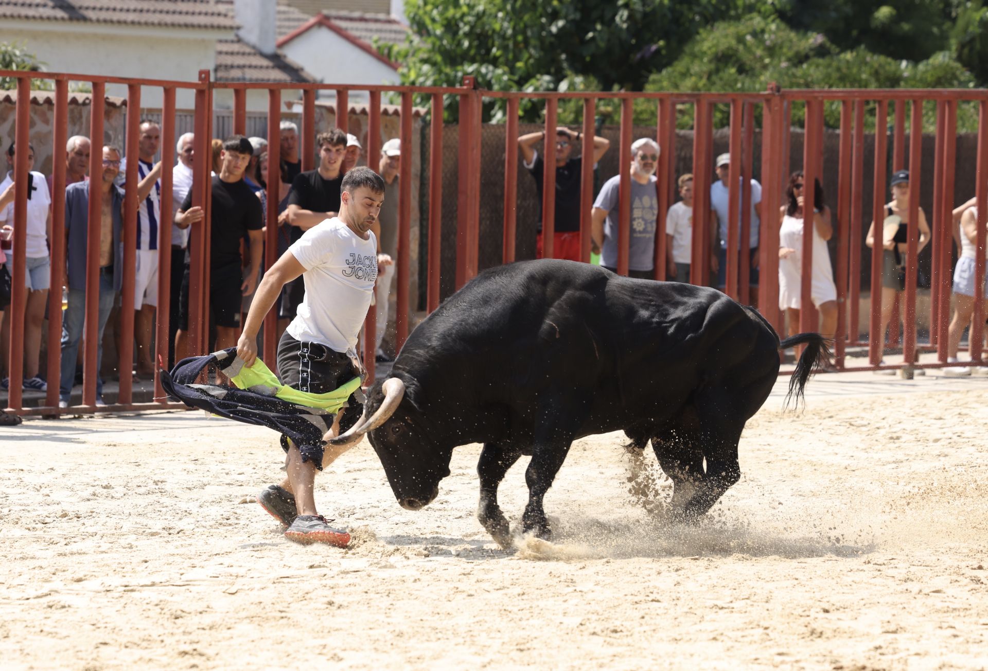 Encierro del viernes en Viana de Cega