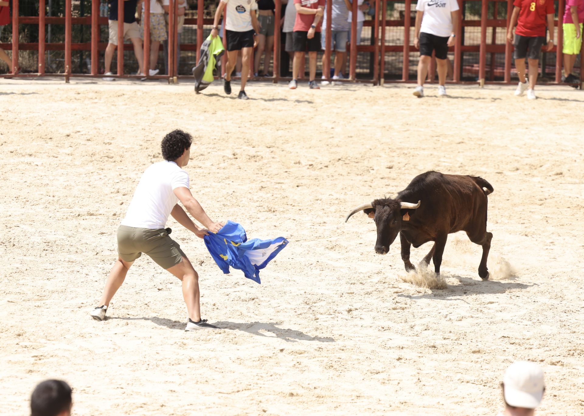 Encierro del viernes en Viana de Cega