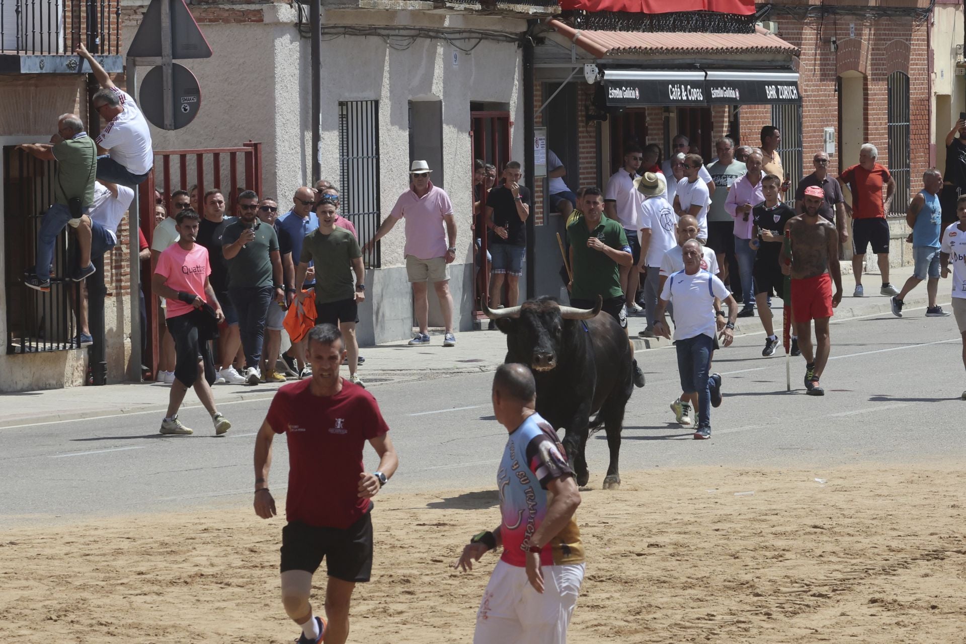 Toro del Verdejo en Rueda