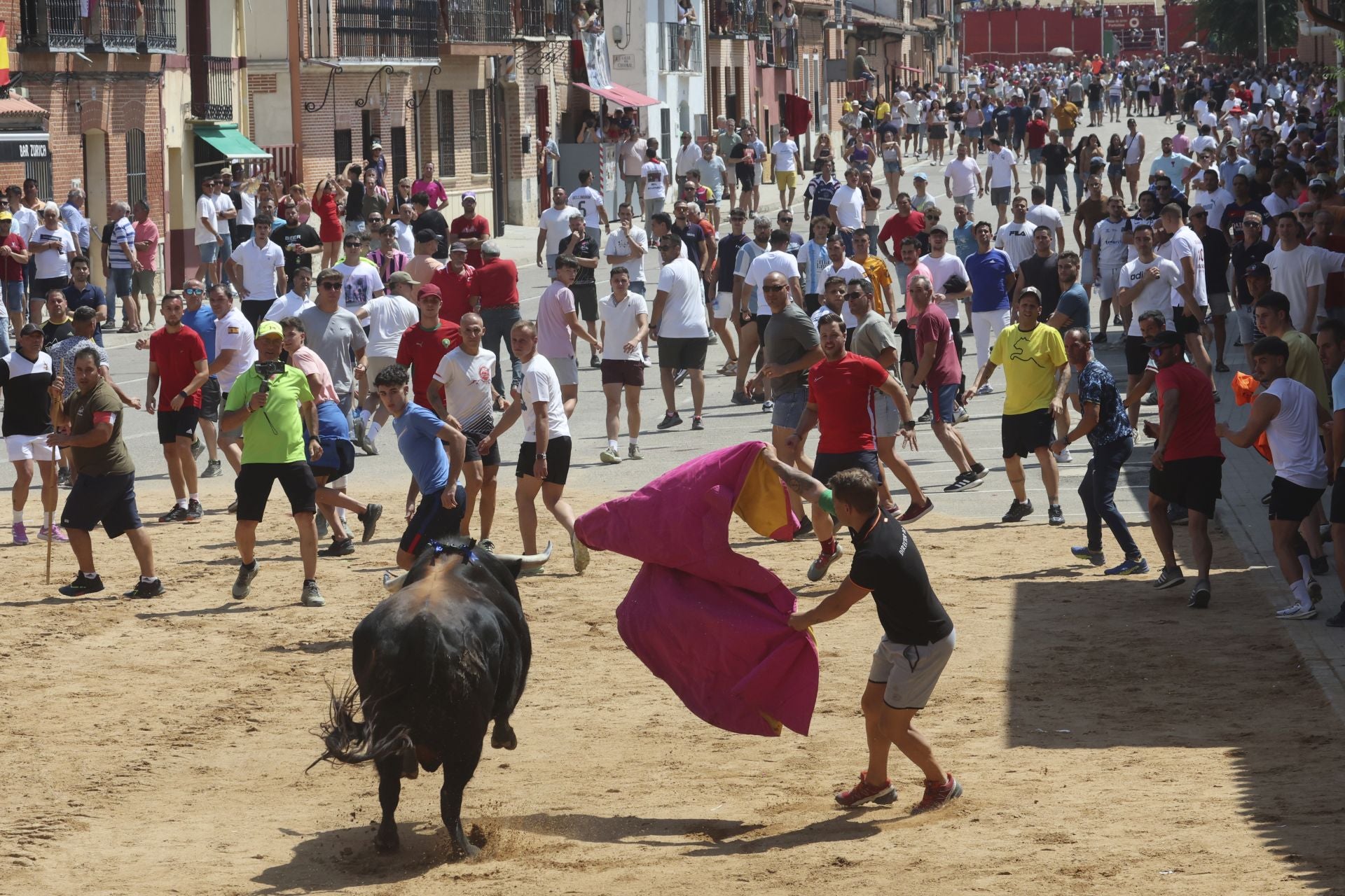 Toro del Verdejo en Rueda