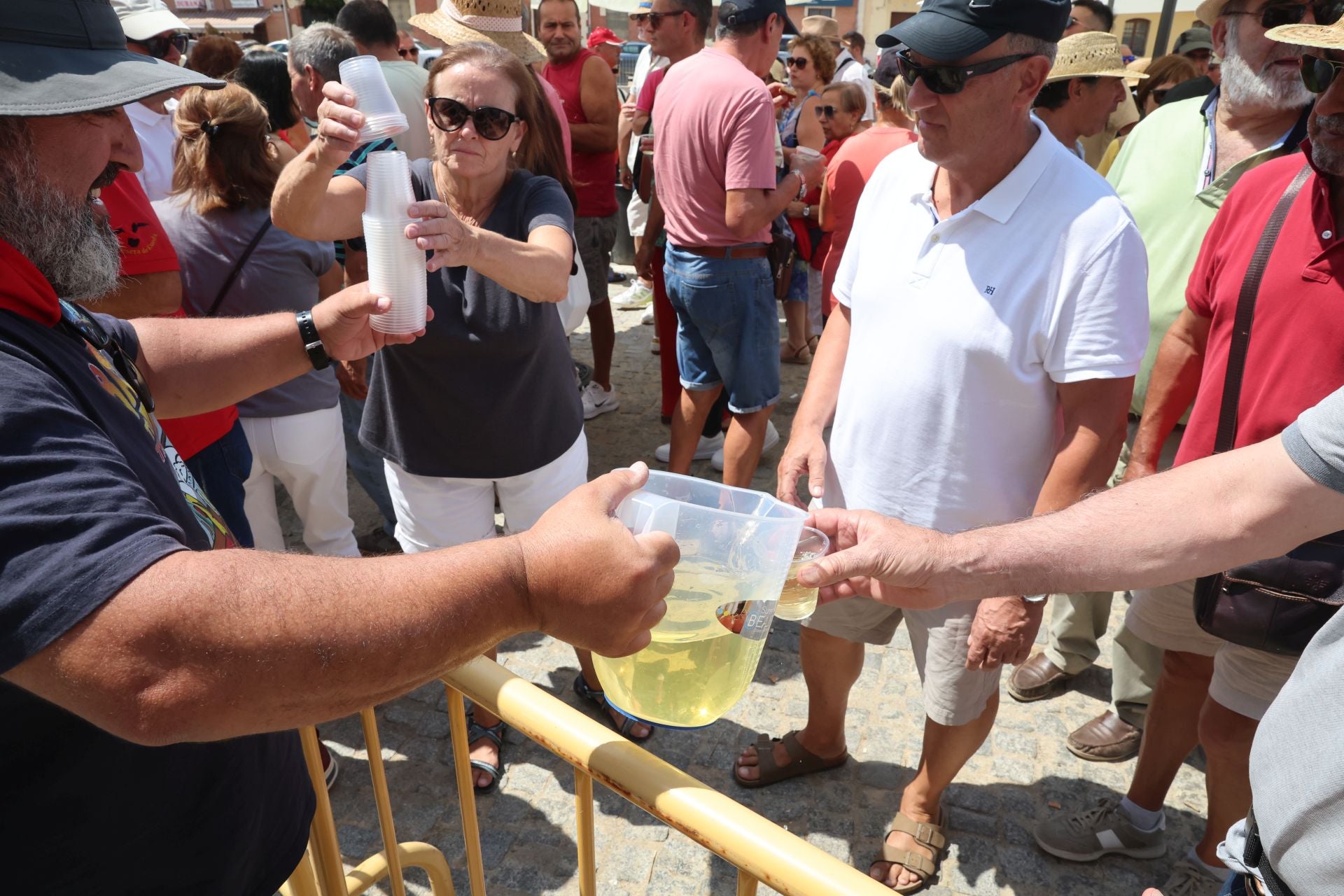 Toro del Verdejo en Rueda