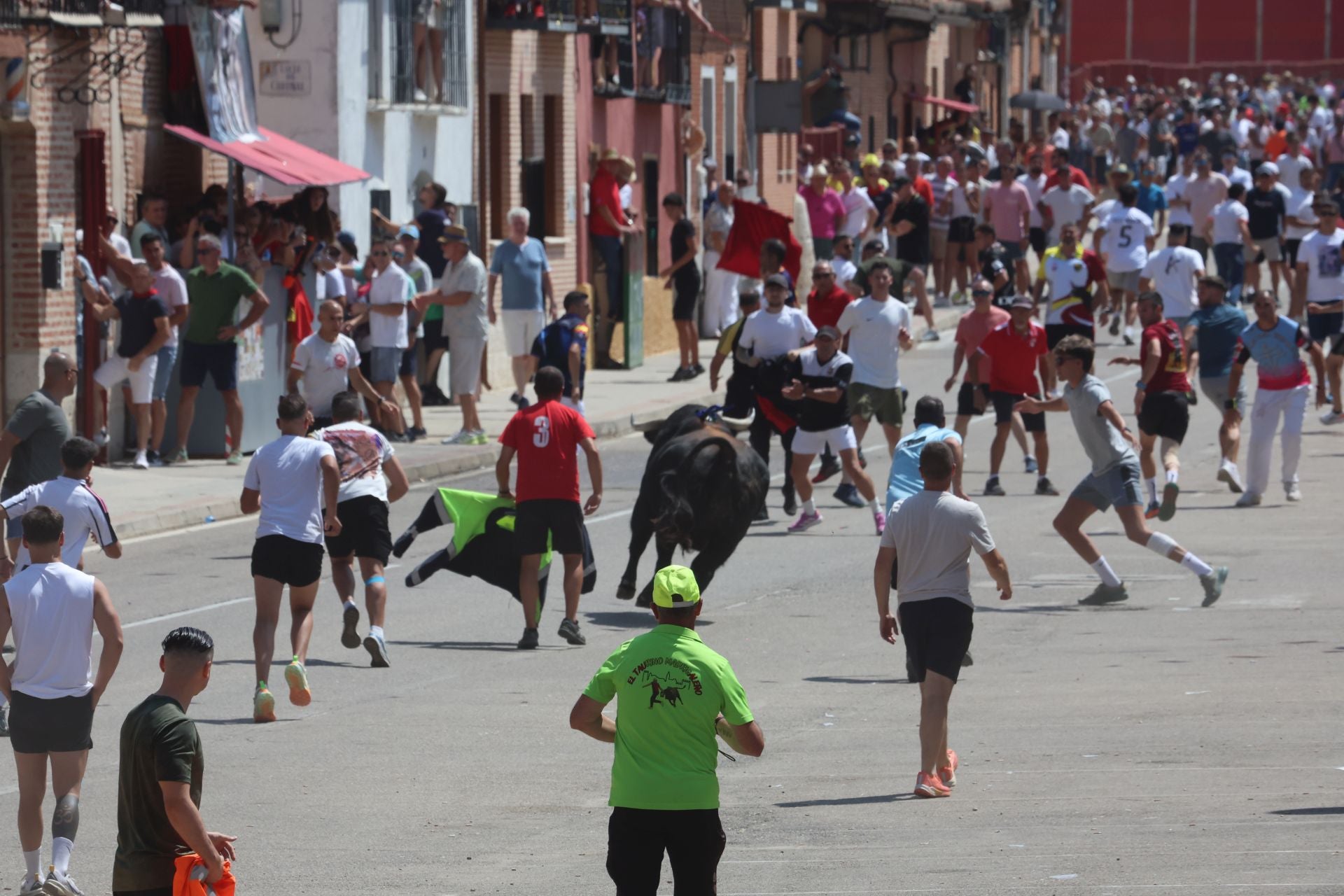 Toro del Verdejo en Rueda