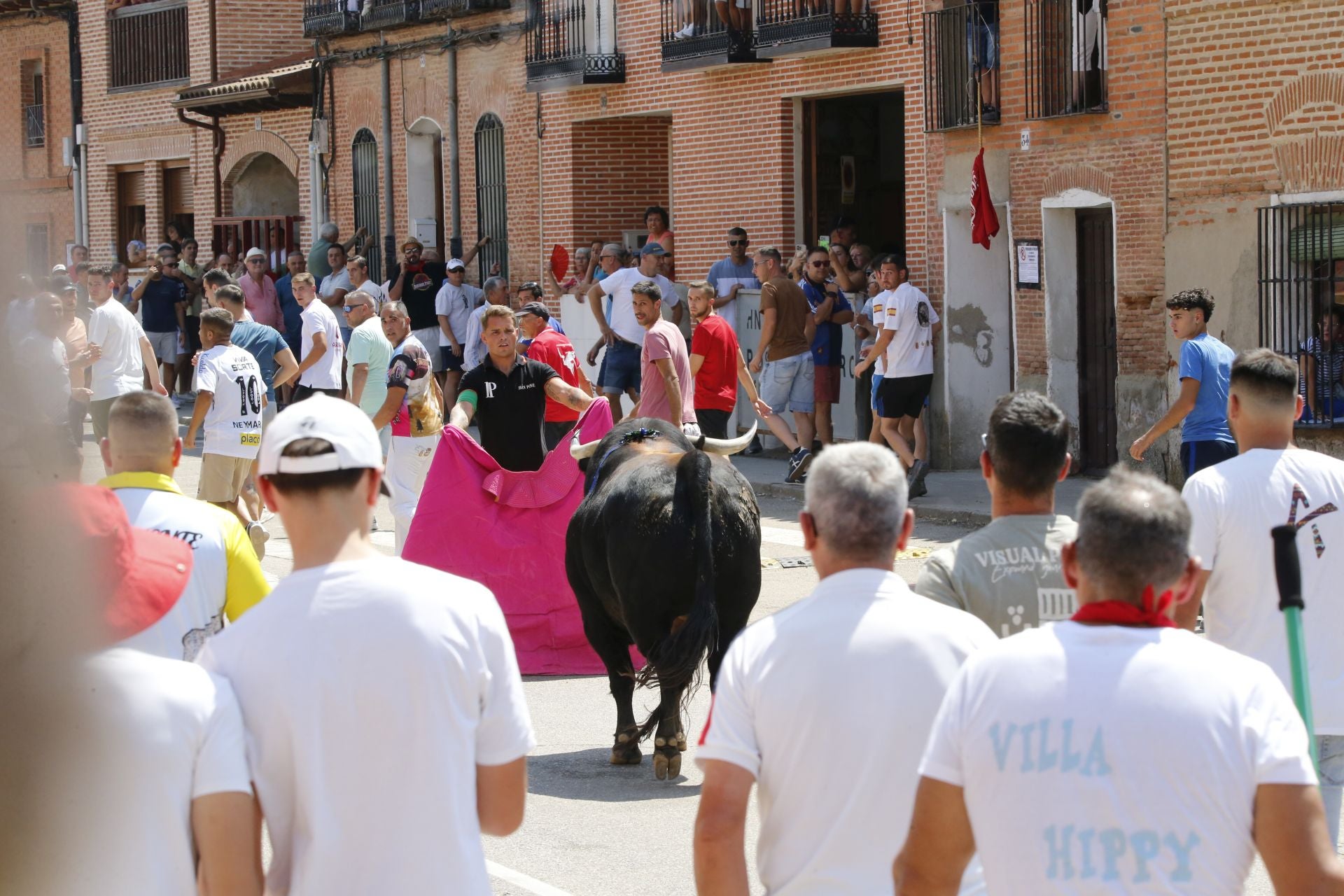 Toro del Verdejo en Rueda