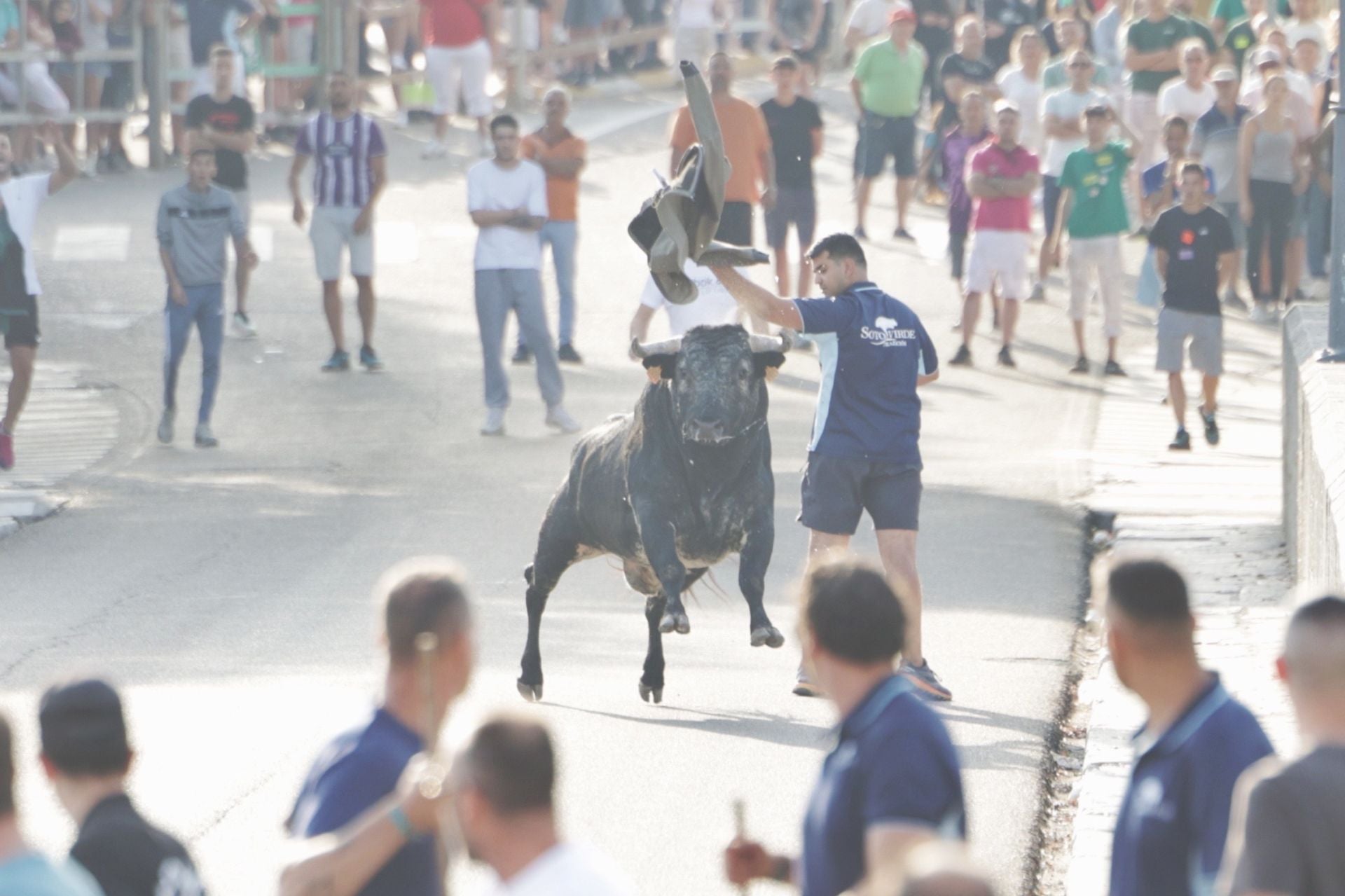Las imágenes del encierro de Tudela de Duero de este sábado