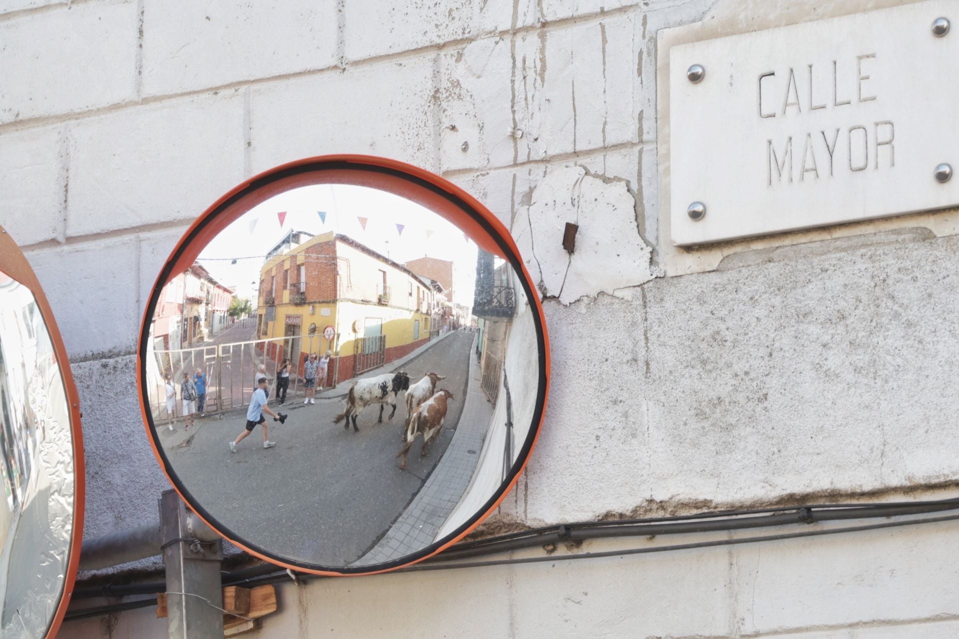 Las imágenes del encierro de Tudela de Duero de este sábado
