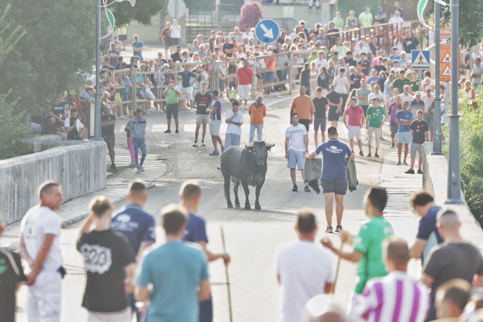 Las imágenes del encierro de Tudela de Duero de este sábado