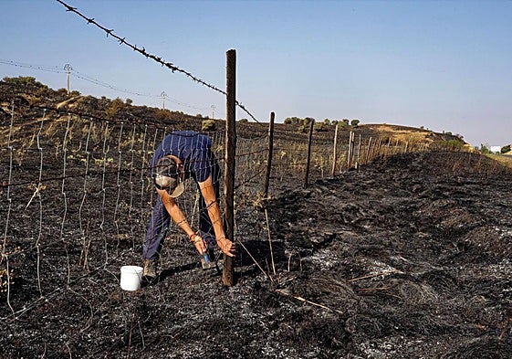 Un ganadero repara la valla de su finca afectada por el incendio en las proximidades de Urraca-Miguel