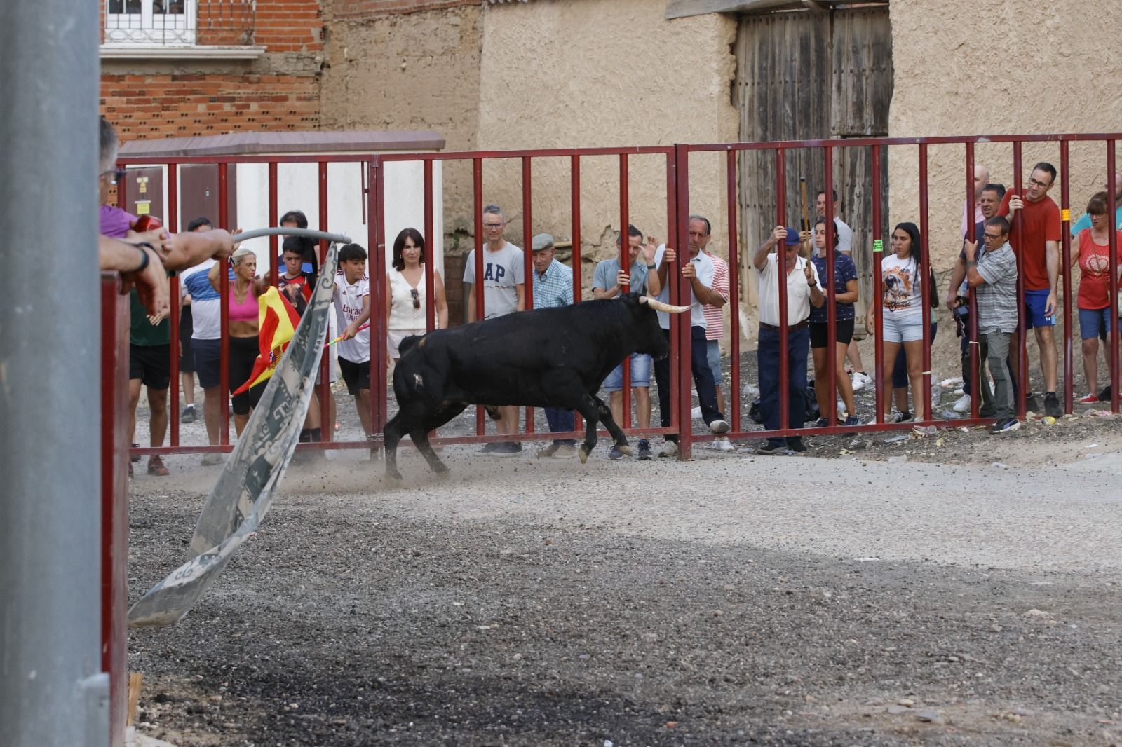El encierro de Pollos, en imágenes