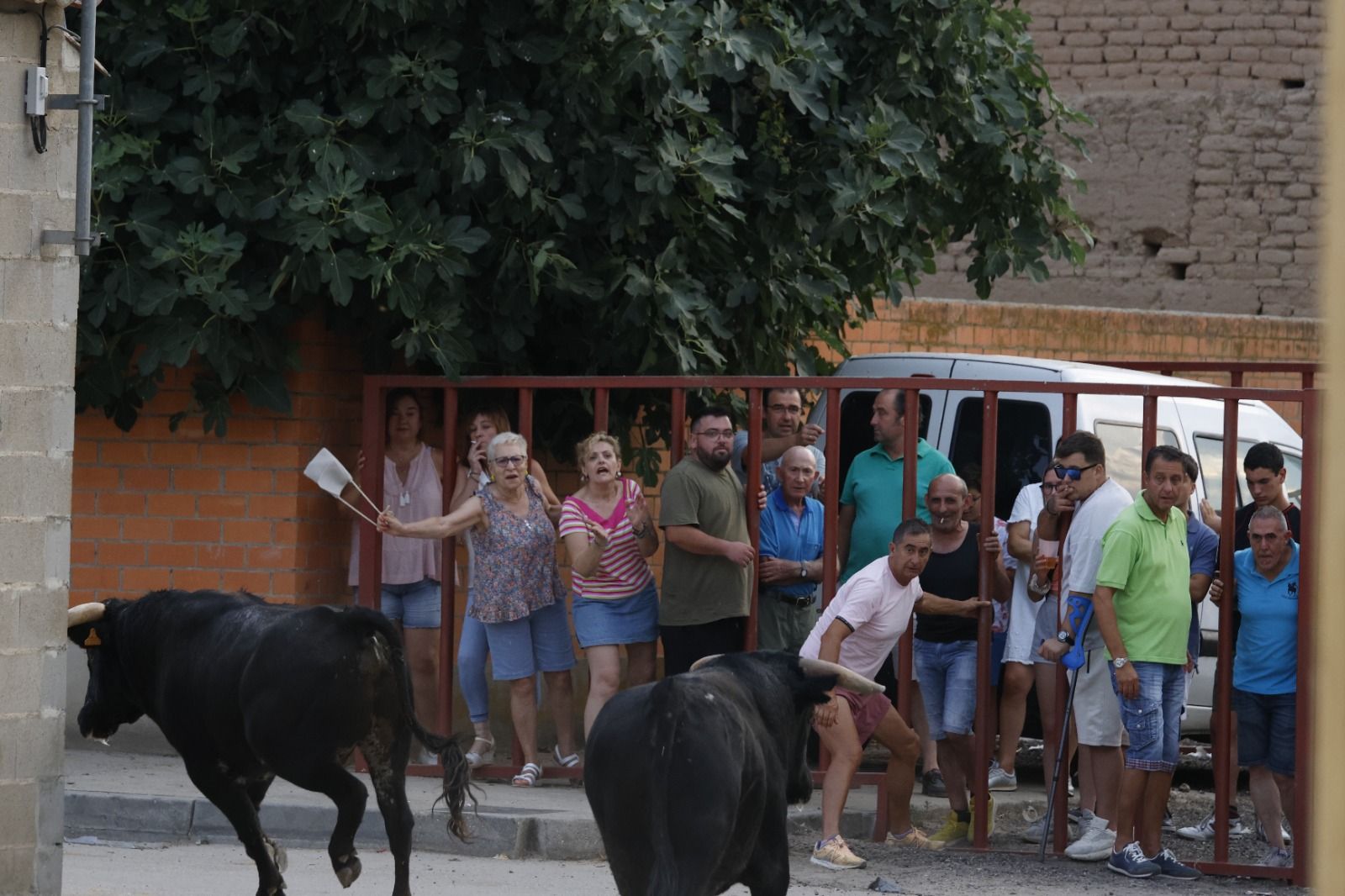 El encierro de Pollos, en imágenes