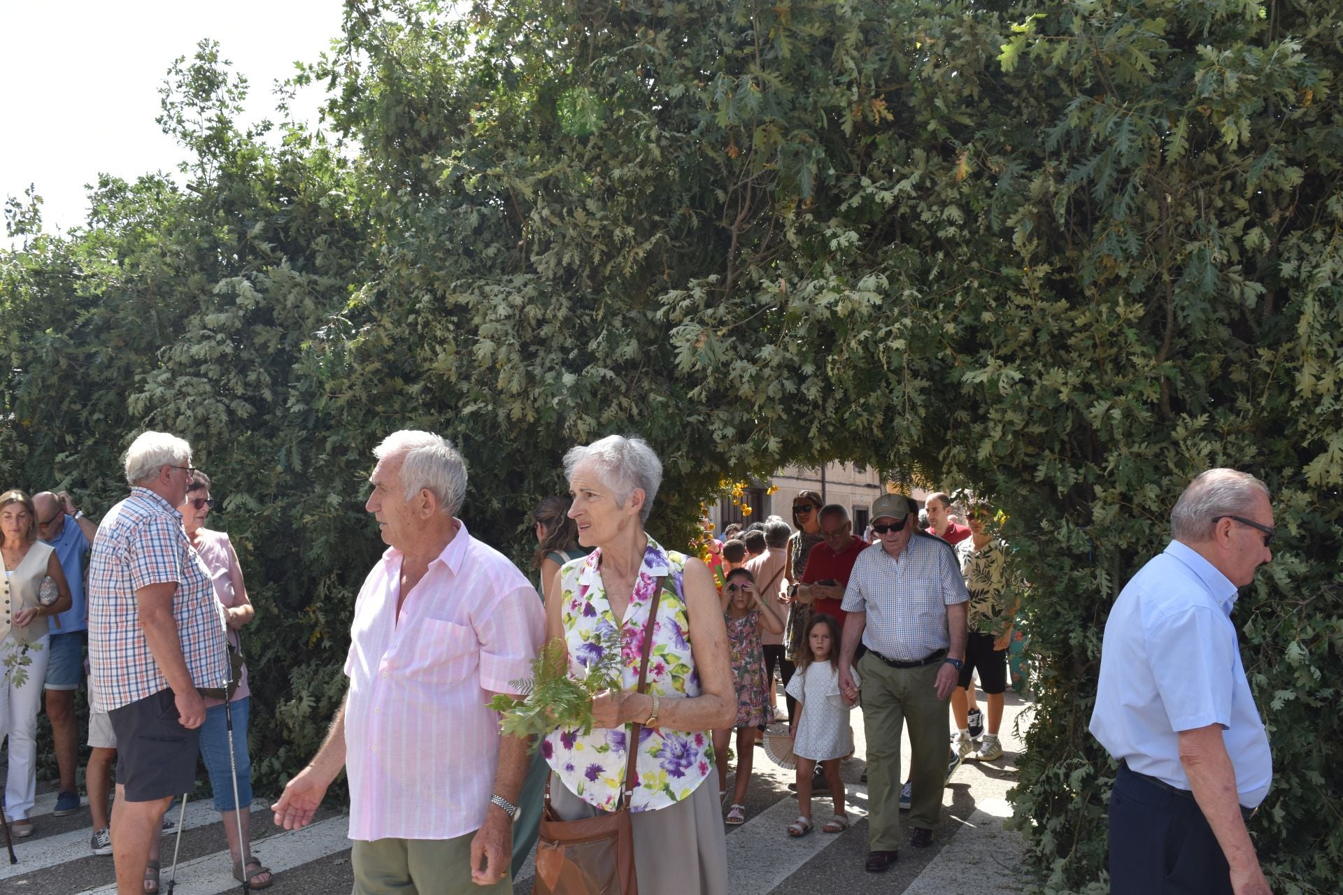 Fiestas de San Roque en Cervera de Pisuerga