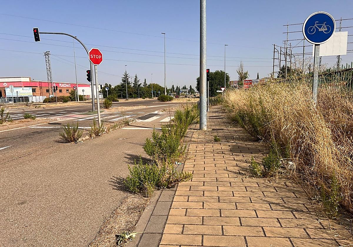 Matojos de hierba que dificultan el paseo de viandantes y ciclistas por la avenida de Soria.
