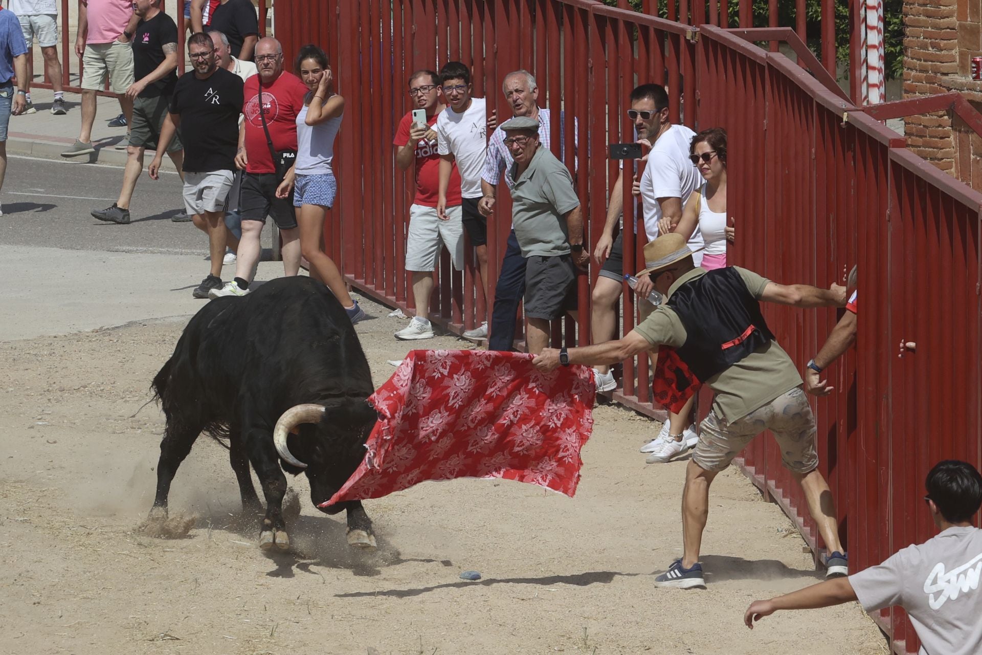 Tercer encierro en las fiestas de Rueda