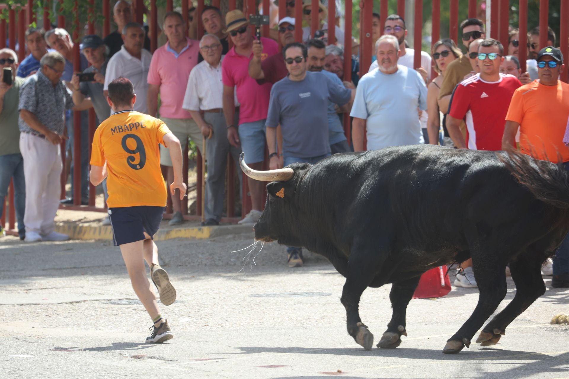 Tercer encierro en las fiestas de Rueda
