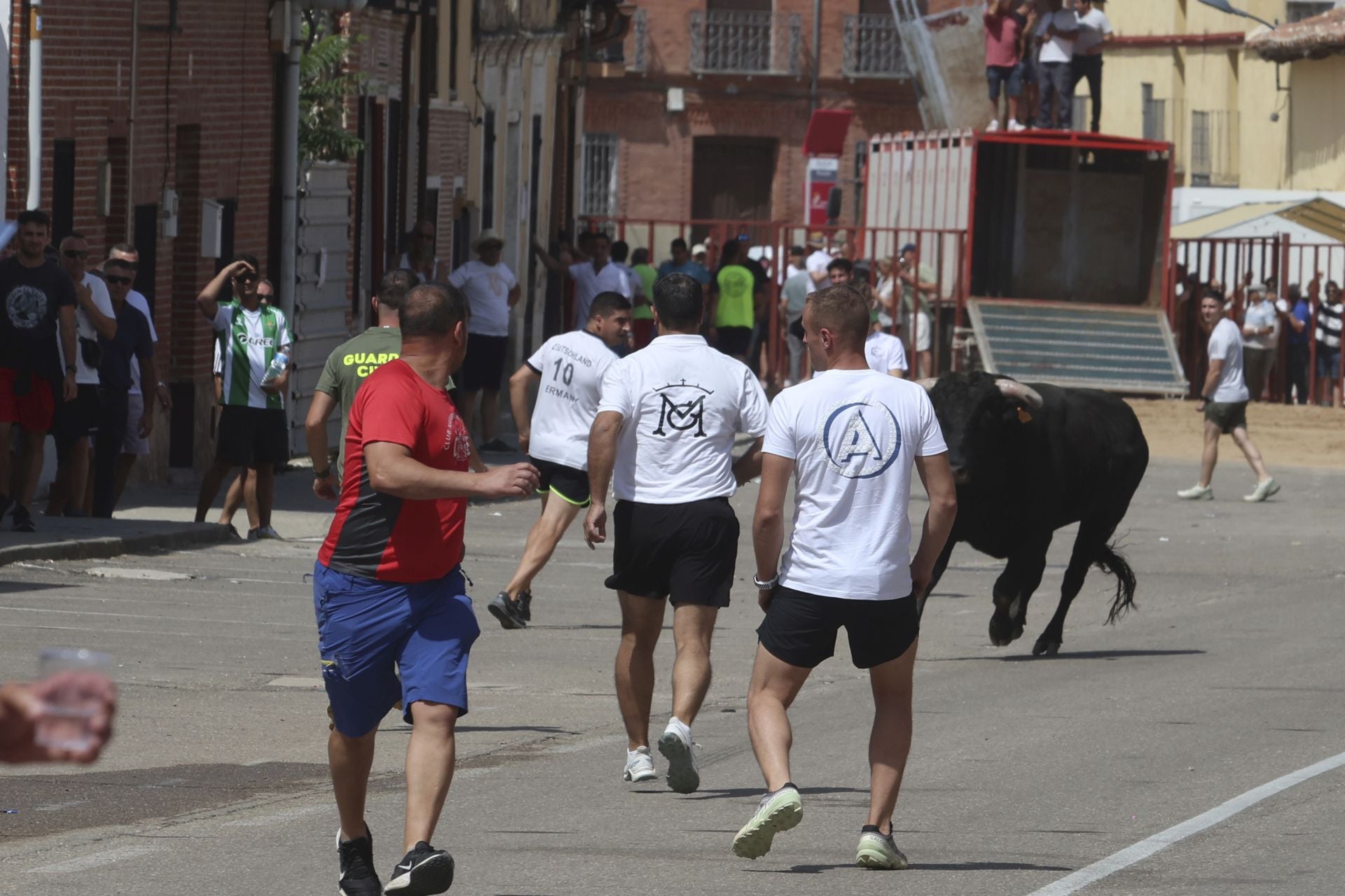 Tercer encierro en las fiestas de Rueda