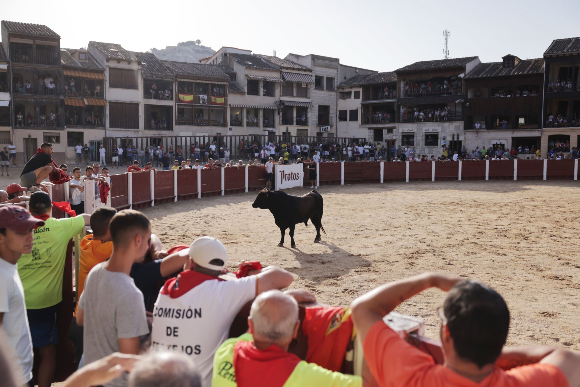 Encierro y capea del sábado en Peñafiel