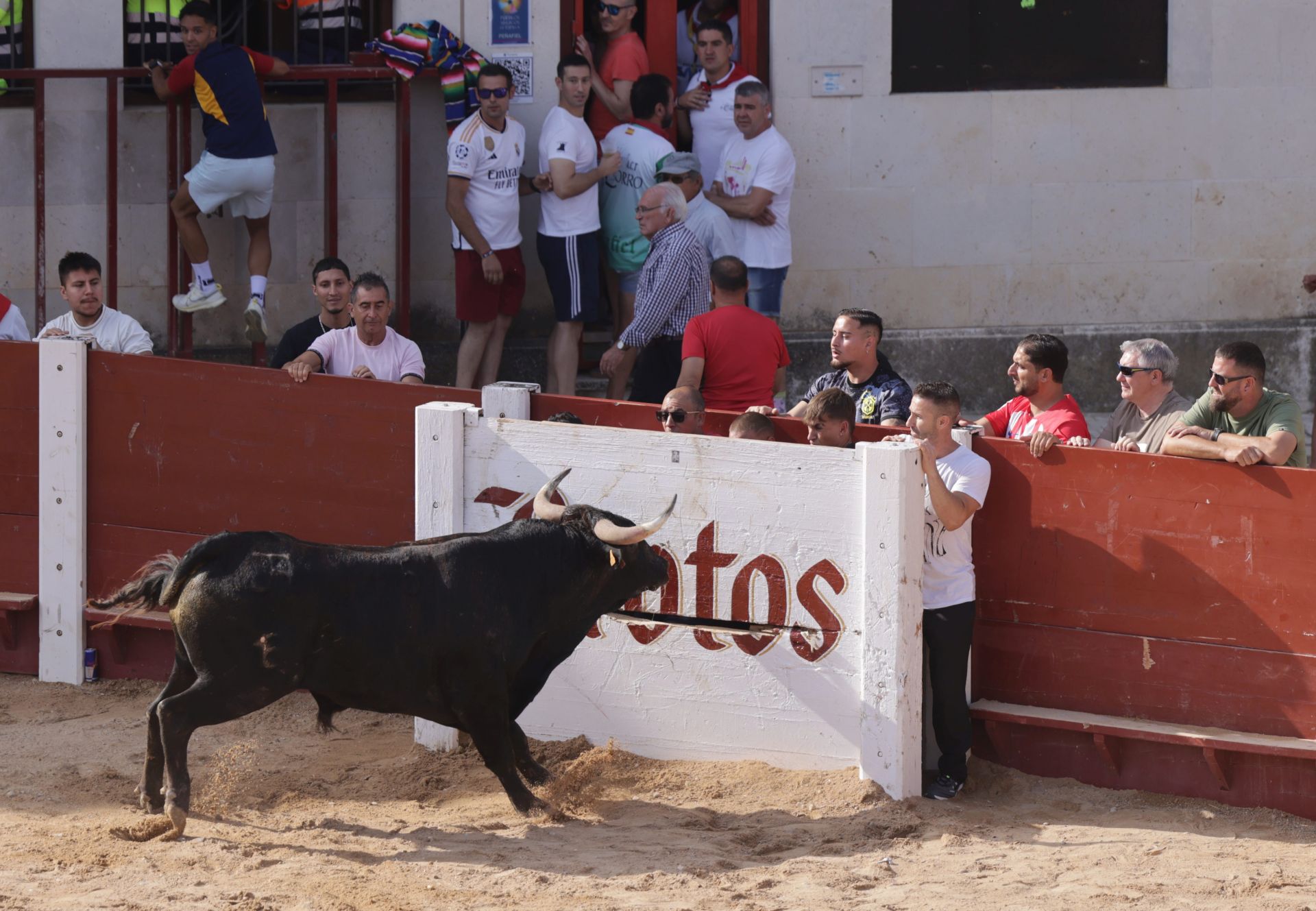 Encierro y capea del sábado en Peñafiel