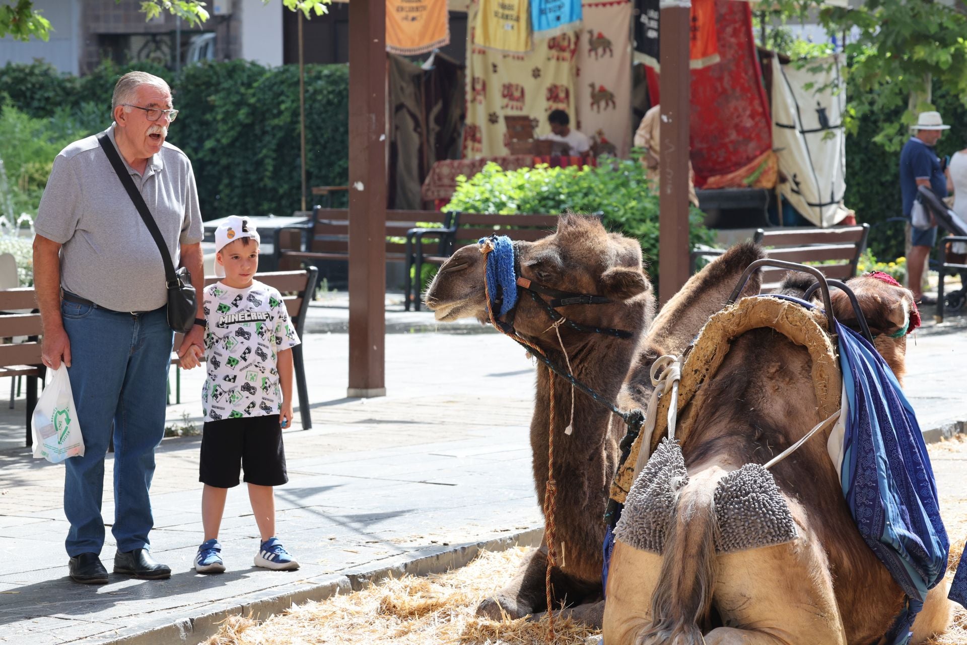 Ambiente en la Feria Renacentista de Medina del Campo este sábado