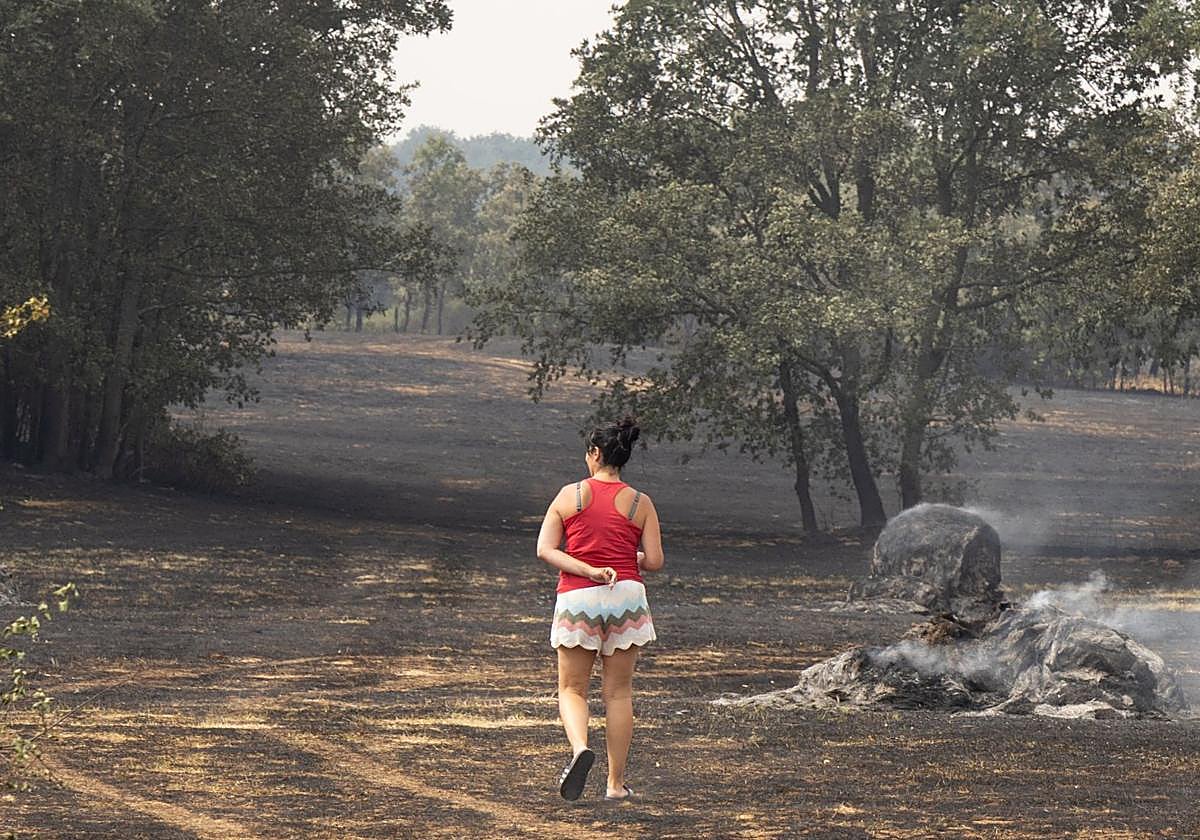 La virulencia del fuego eleva a 62 los pueblos desalojados en León y a más de 2.000 las personas evacuadas