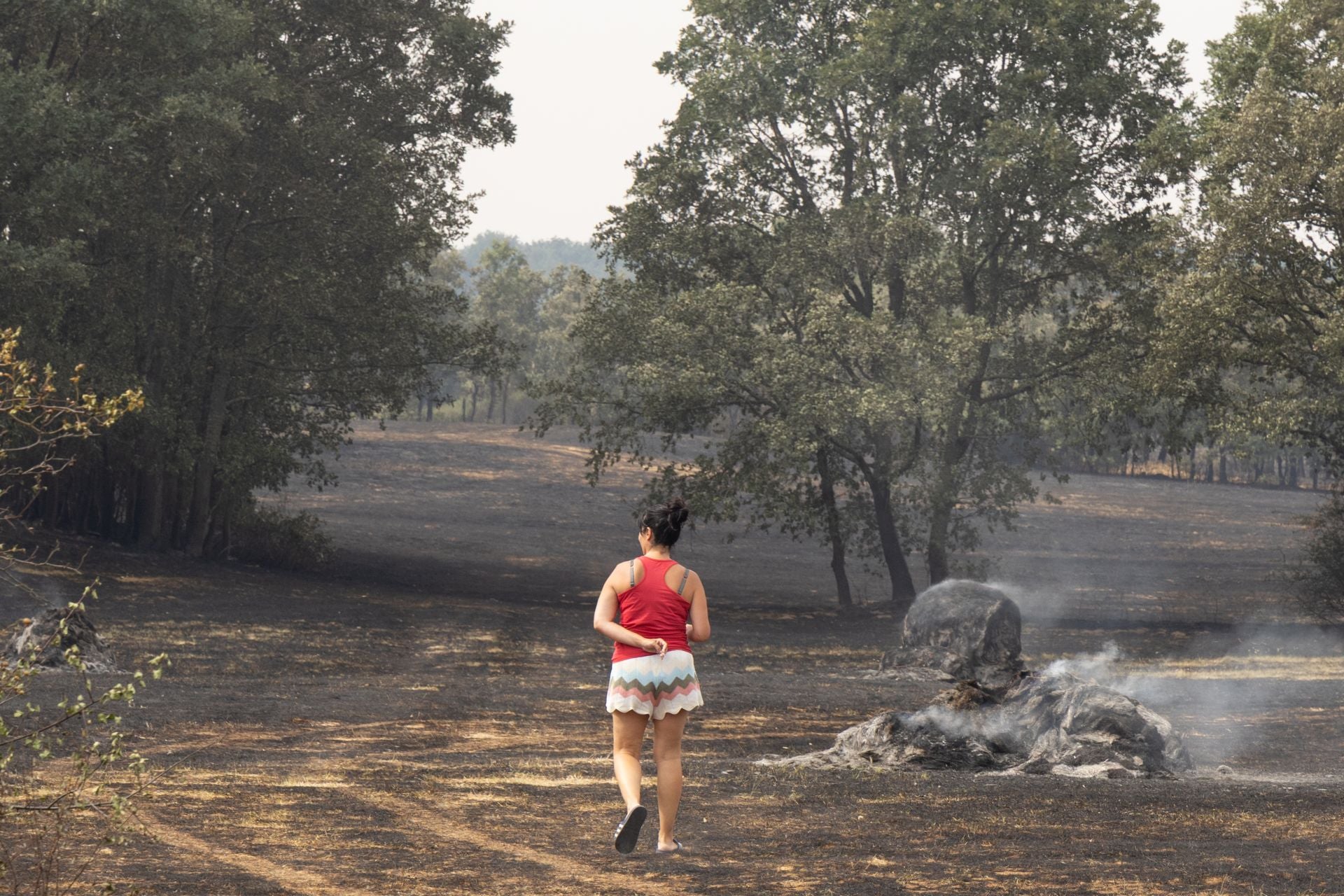 Las imágenes del incendio de Canalejas