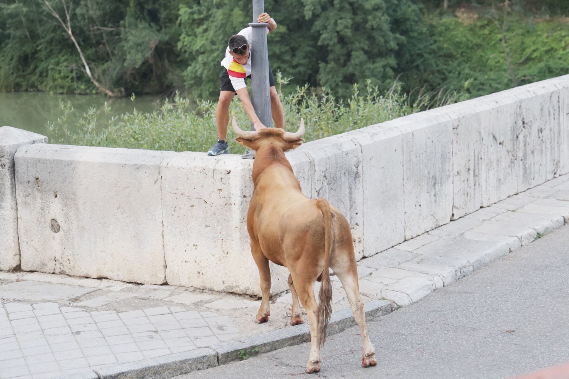 El encierro de Tudela de Duero, en imágenes