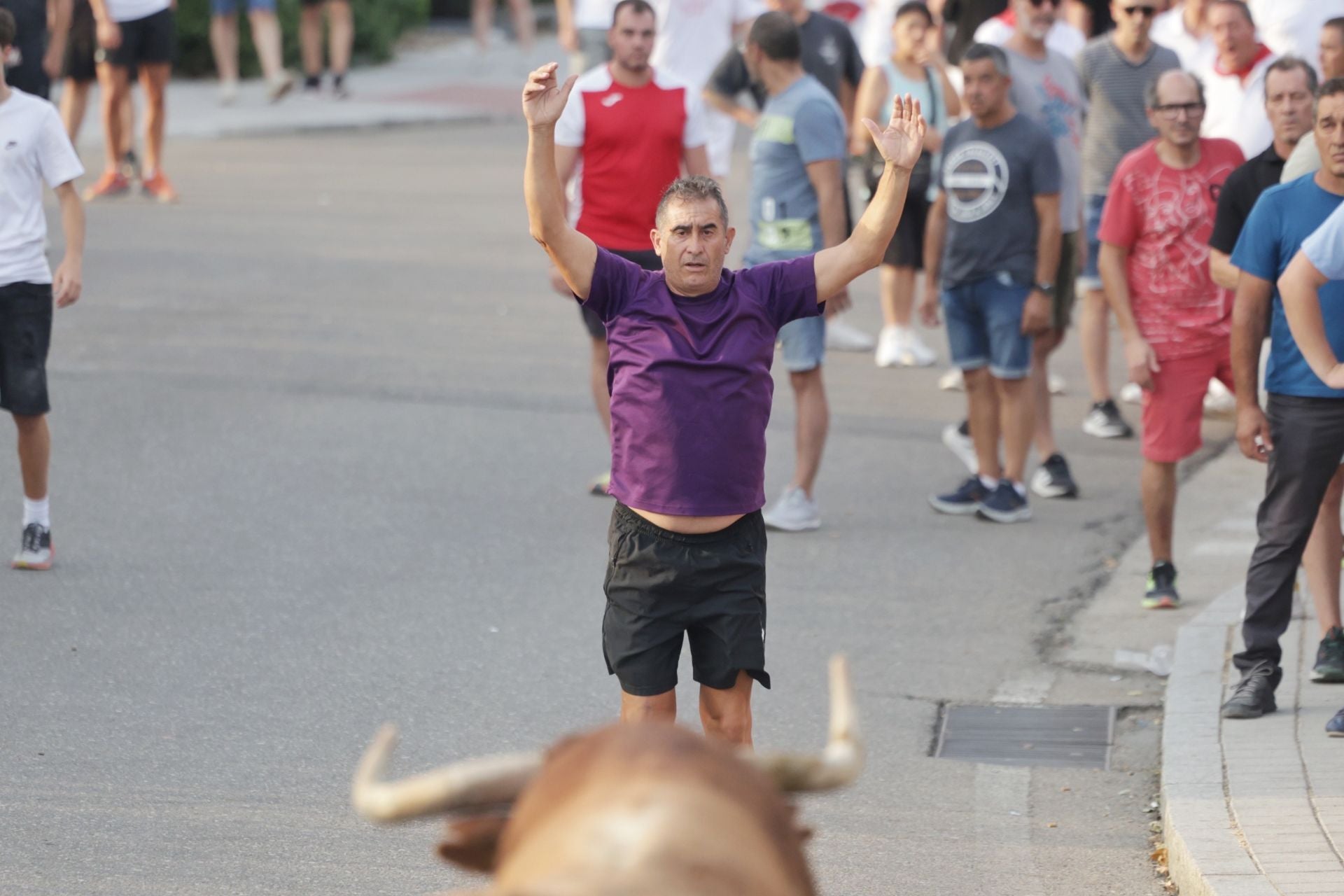 El encierro de Tudela de Duero, en imágenes