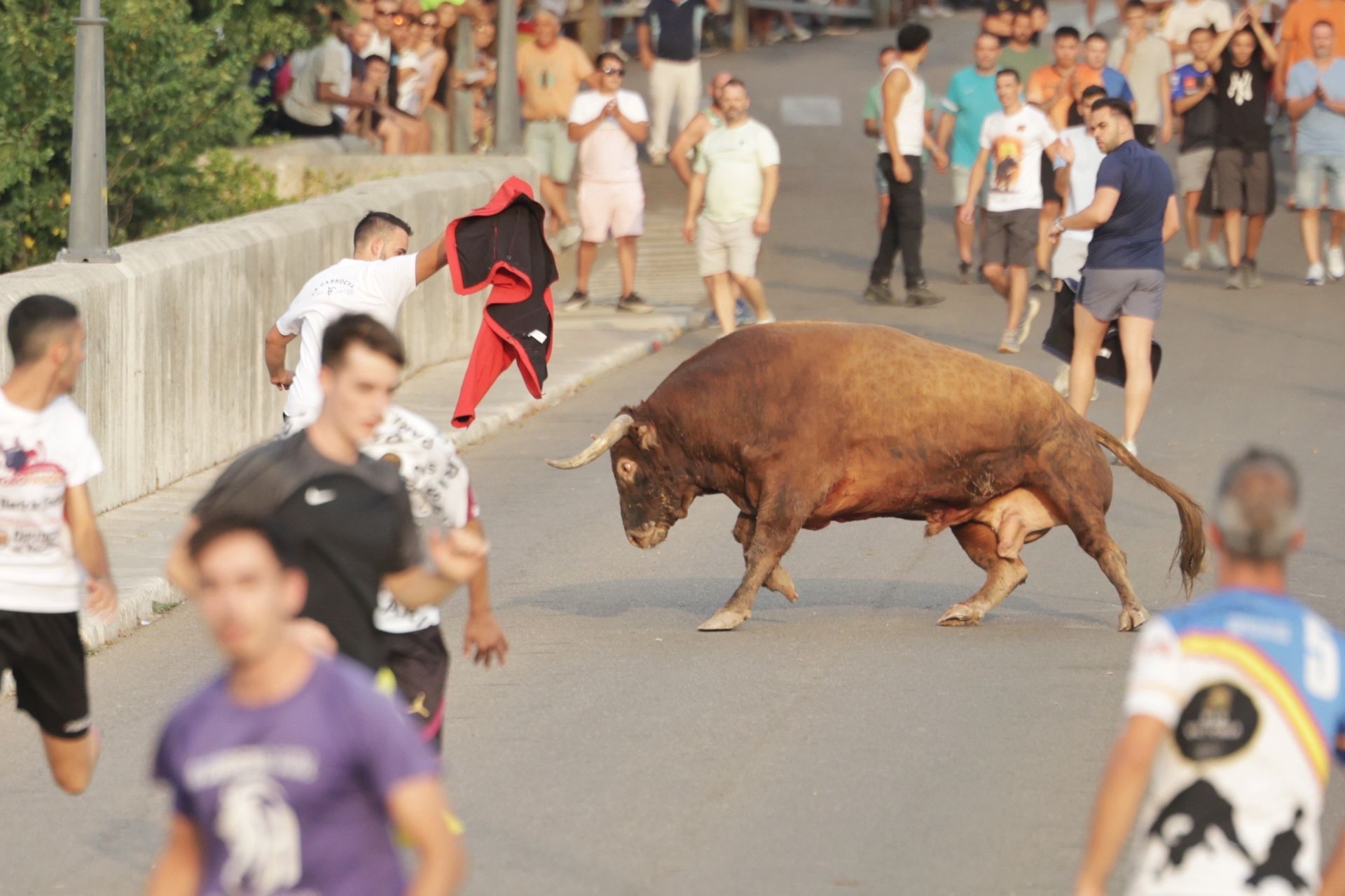 El encierro de Tudela de Duero, en imágenes