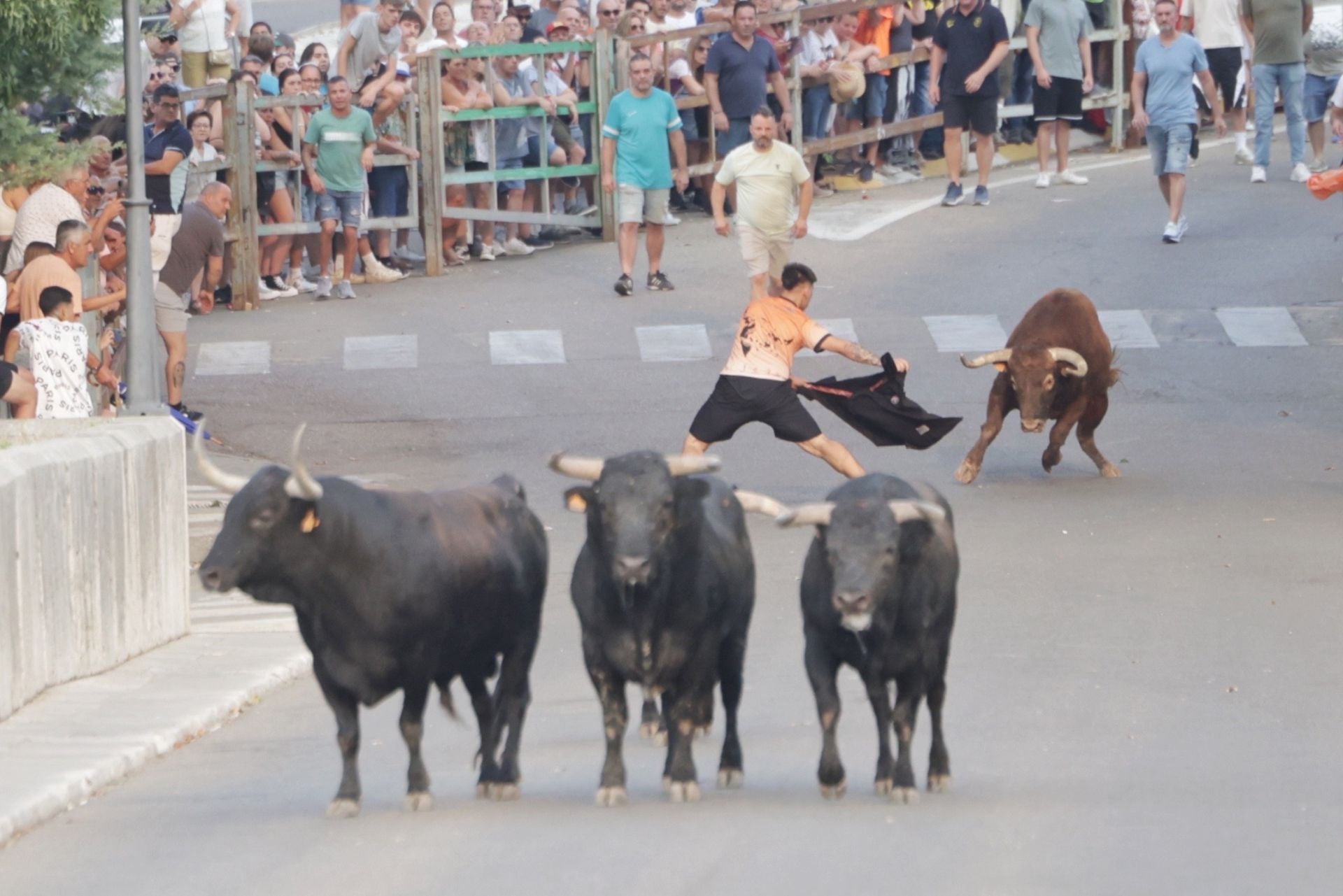El encierro de Tudela de Duero, en imágenes