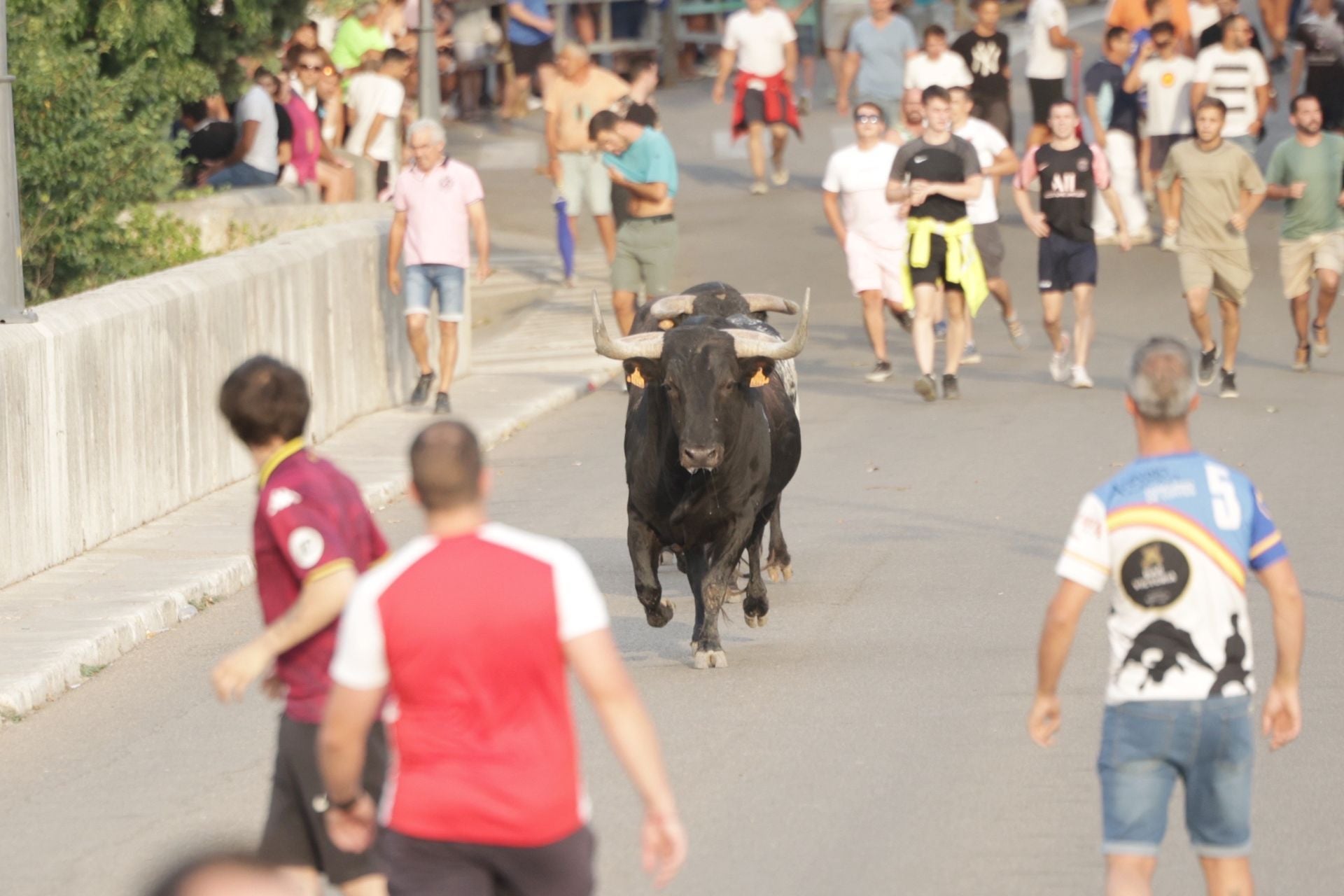 El encierro de Tudela de Duero, en imágenes