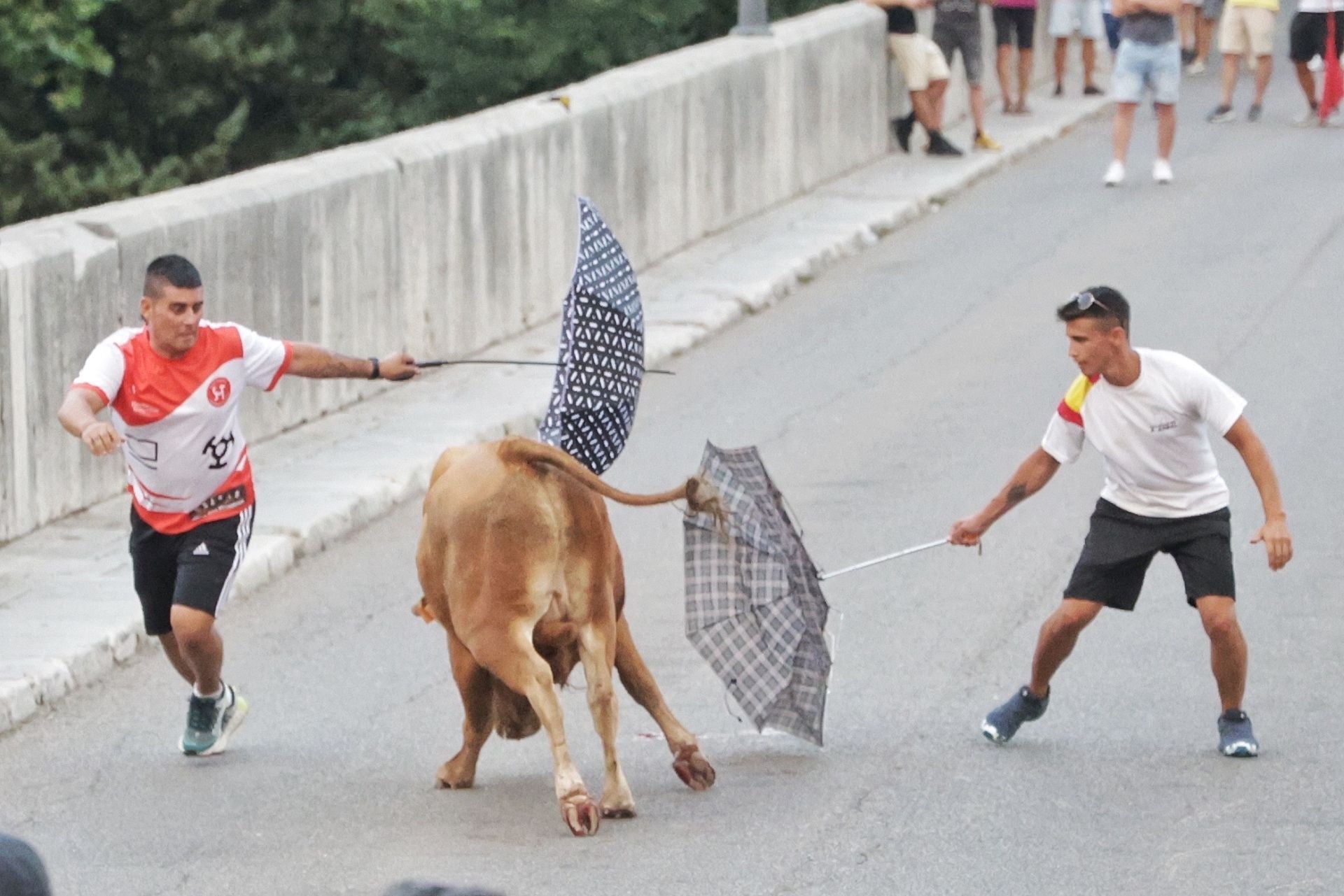 El encierro de Tudela de Duero, en imágenes