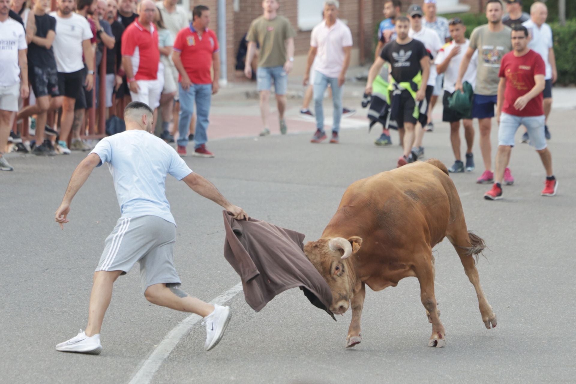 El encierro de Tudela de Duero, en imágenes