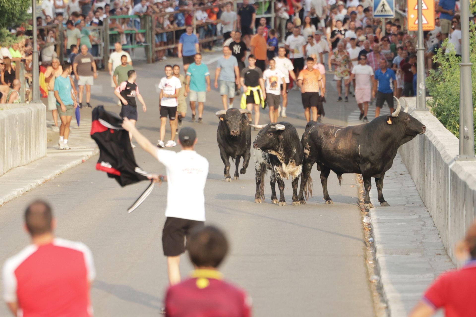 El encierro de Tudela de Duero, en imágenes