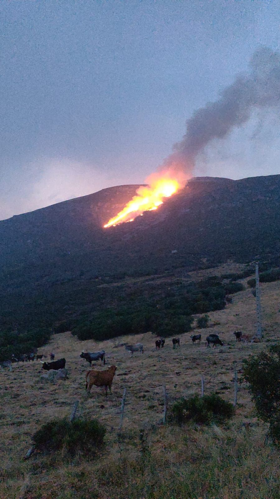 El fuego en el Golobar.