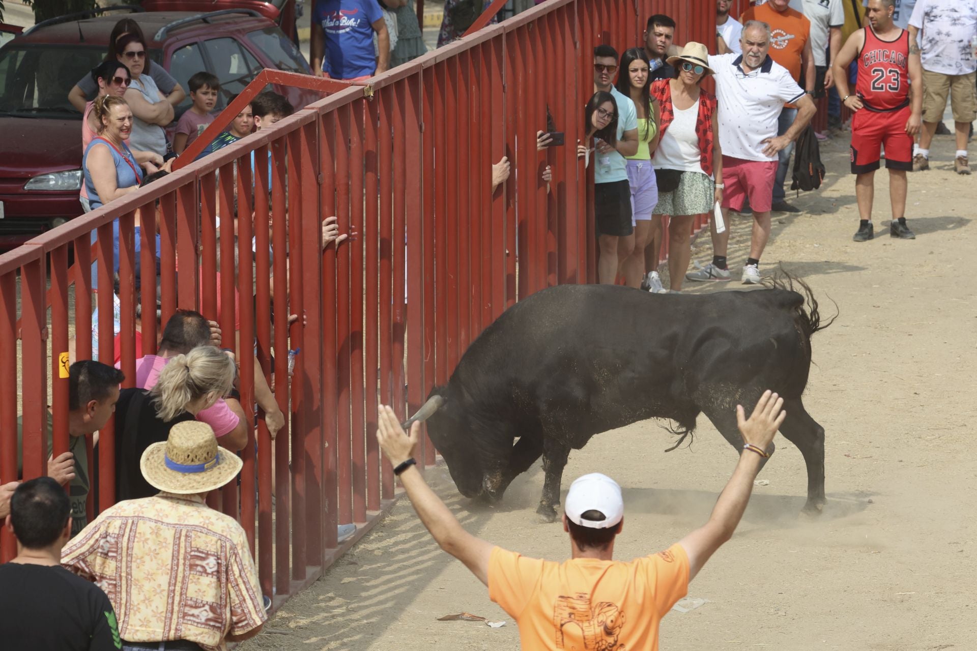 Encierro del domingo en las fiestas de Rueda