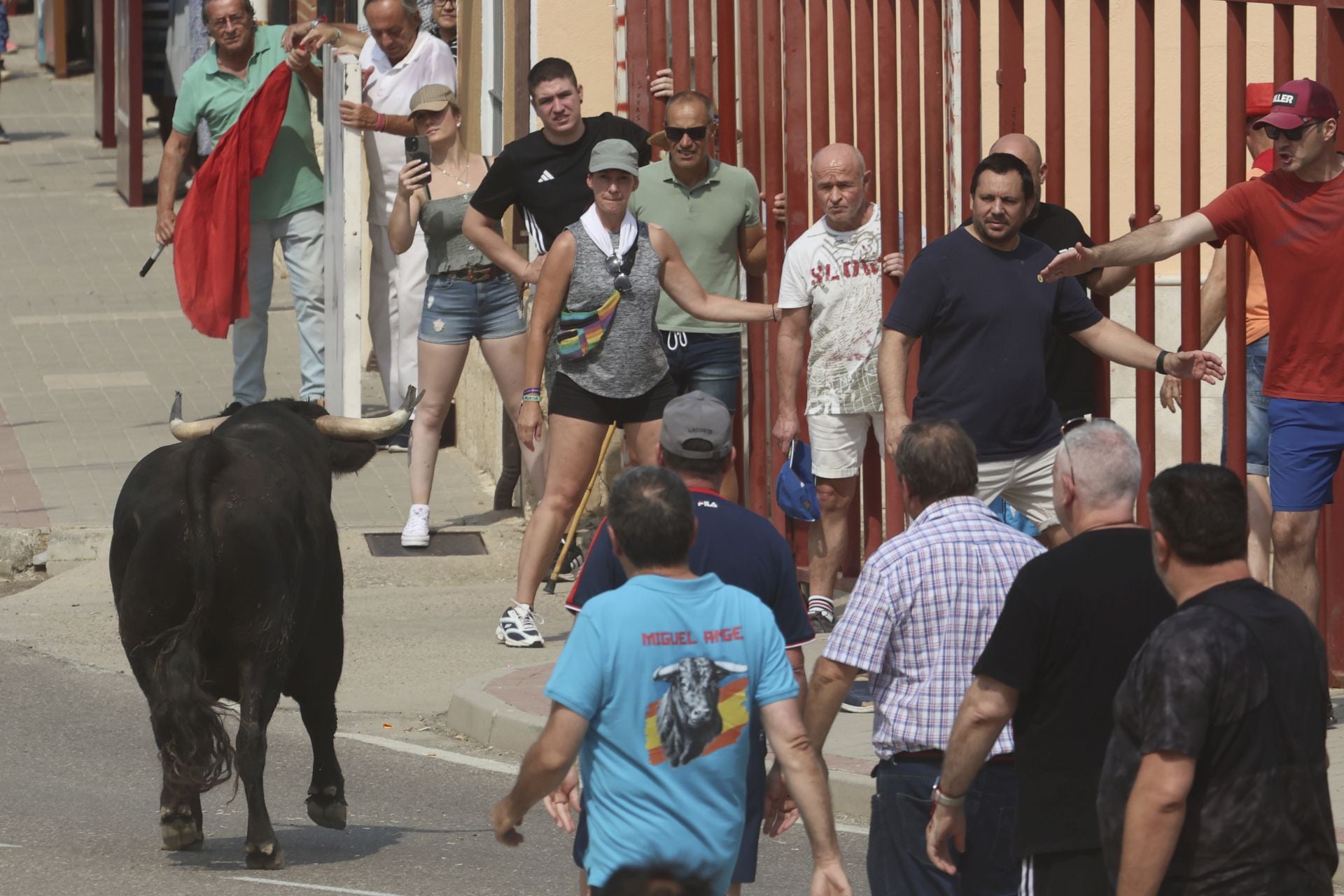 Encierro del domingo en las fiestas de Rueda