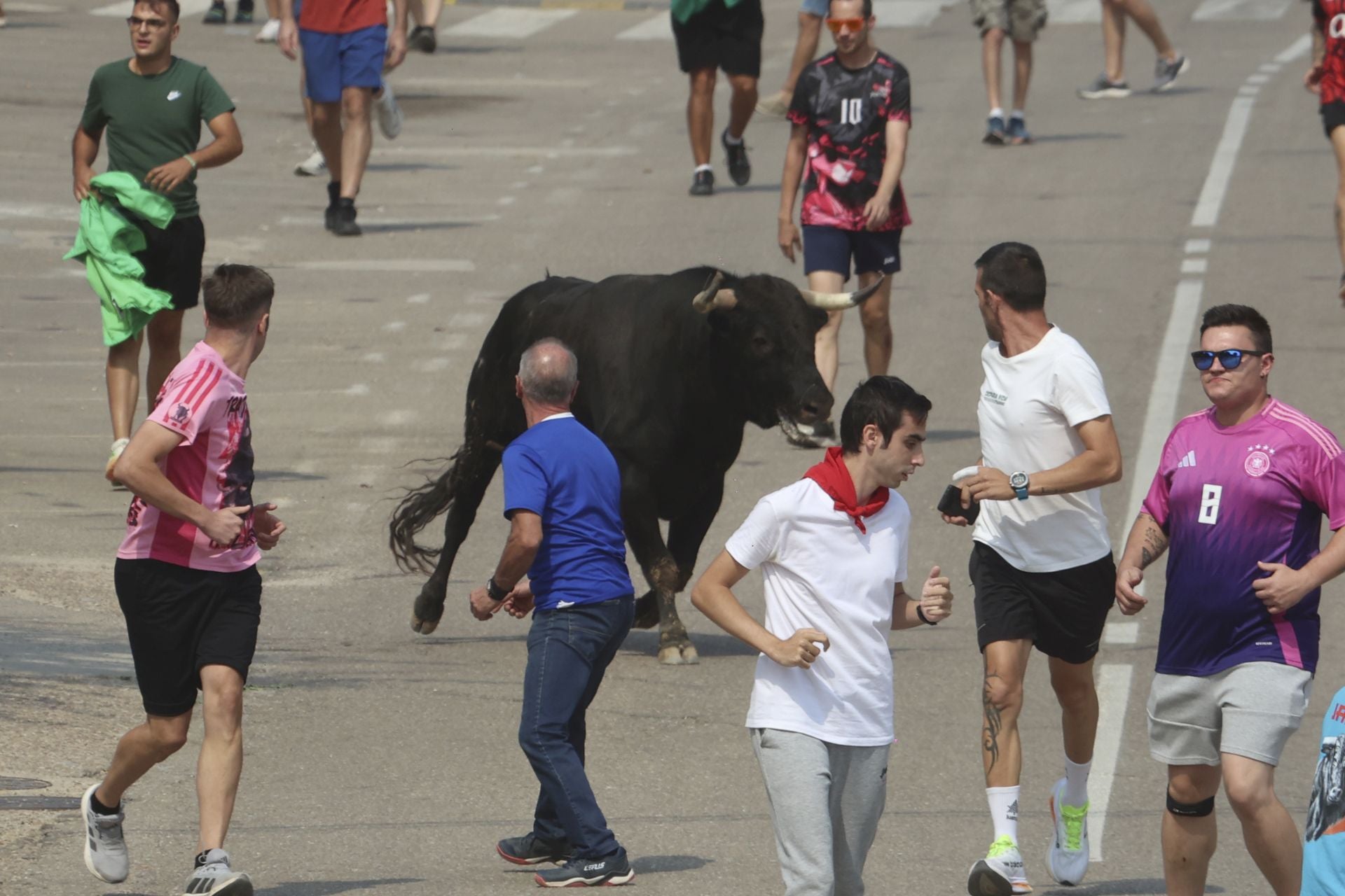Encierro del domingo en las fiestas de Rueda