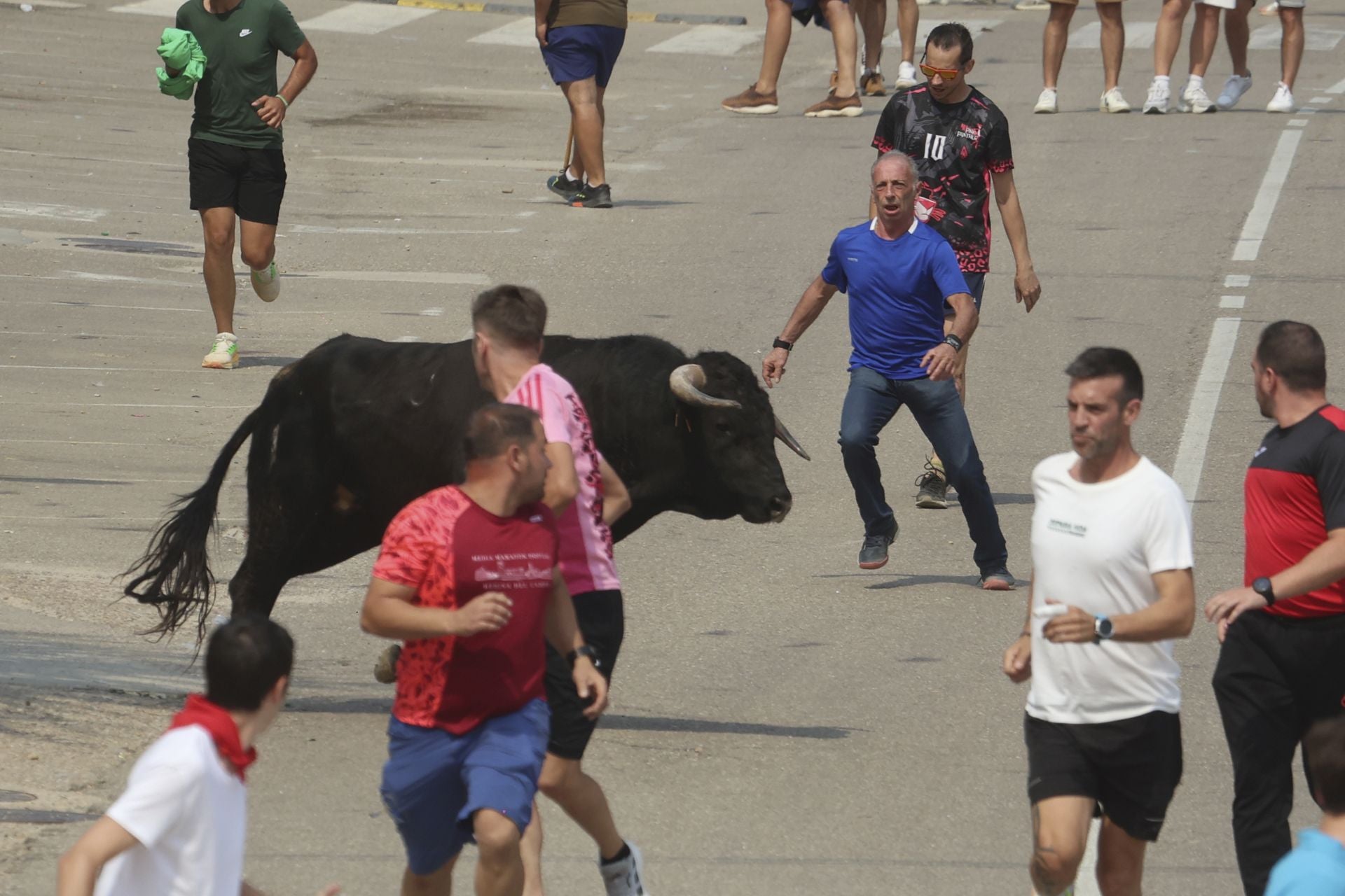 Encierro del domingo en las fiestas de Rueda