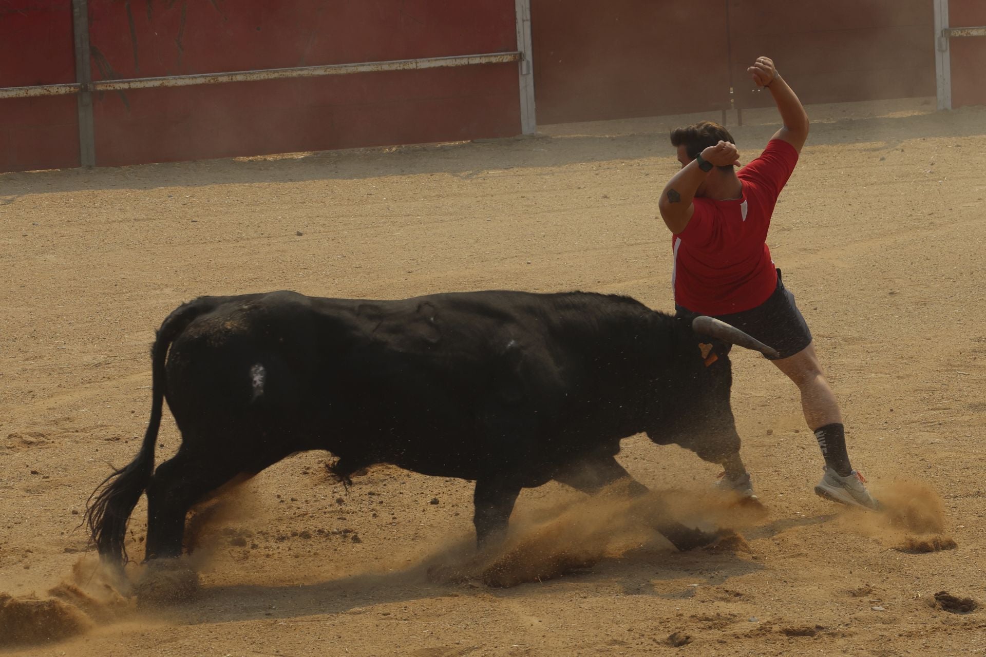 Encierro del domingo en las fiestas de Rueda