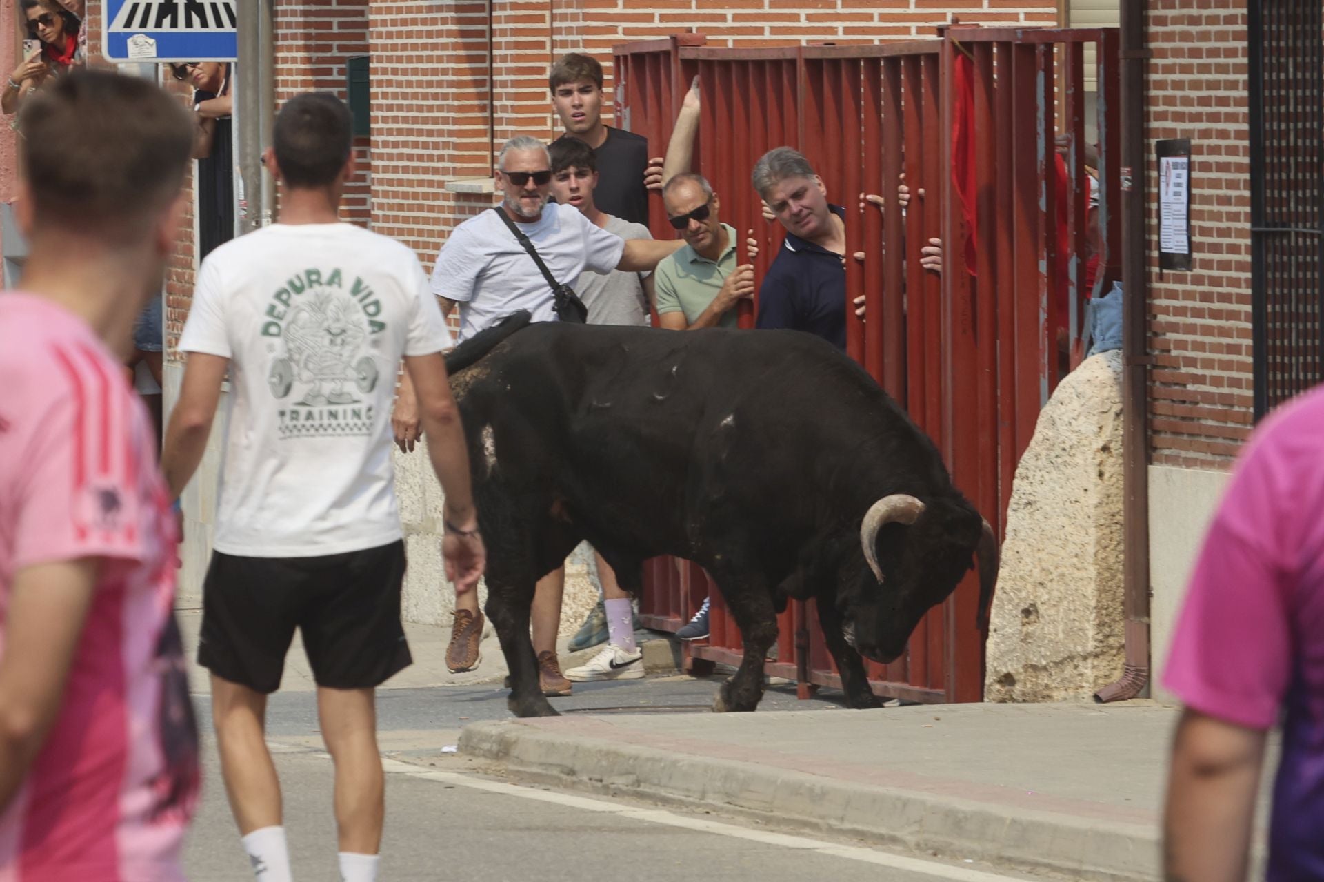 Encierro del domingo en las fiestas de Rueda