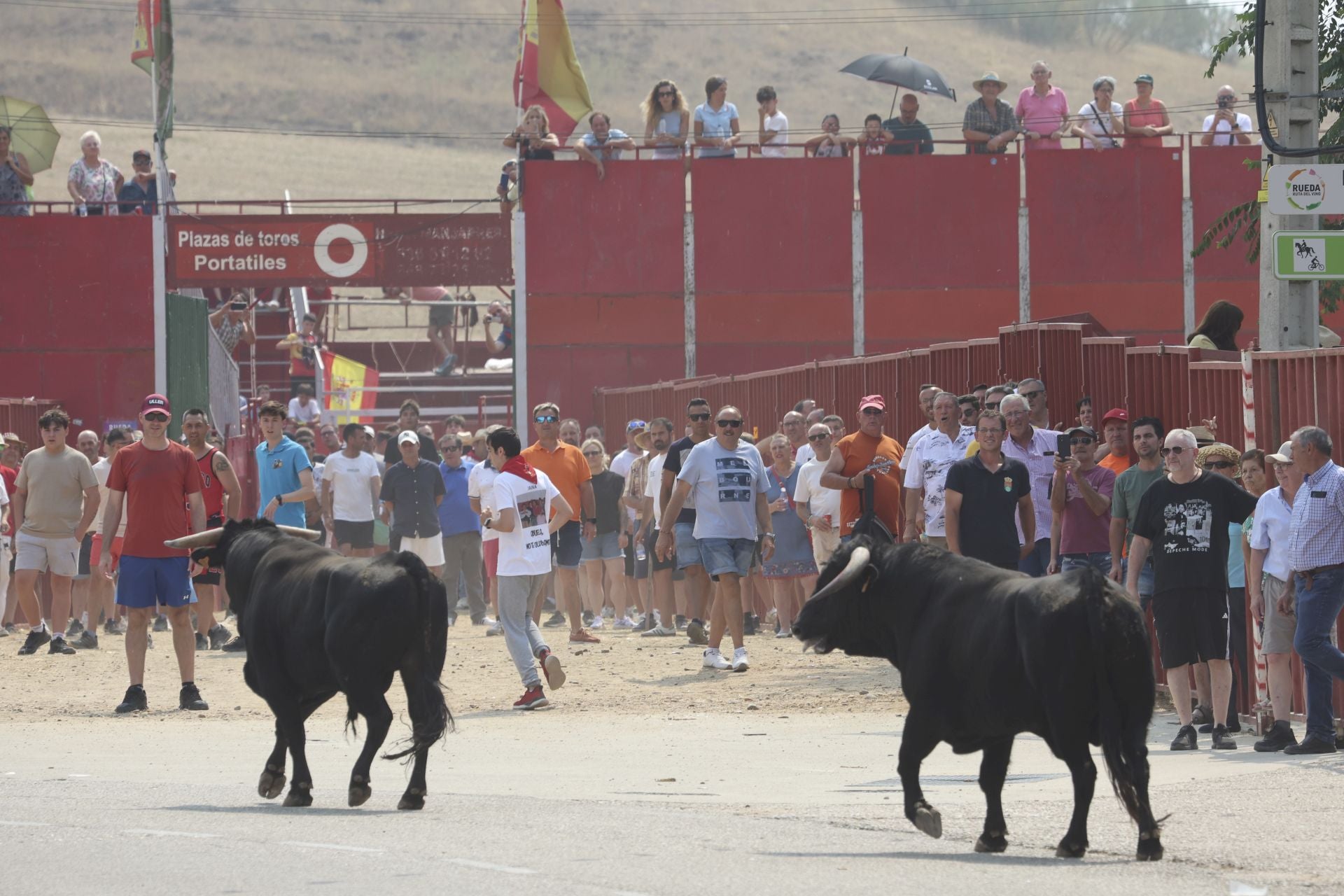 Encierro del domingo en las fiestas de Rueda